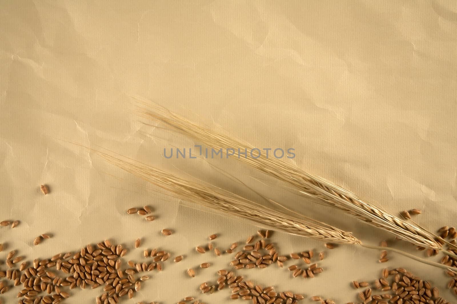 Grain on brown paper background