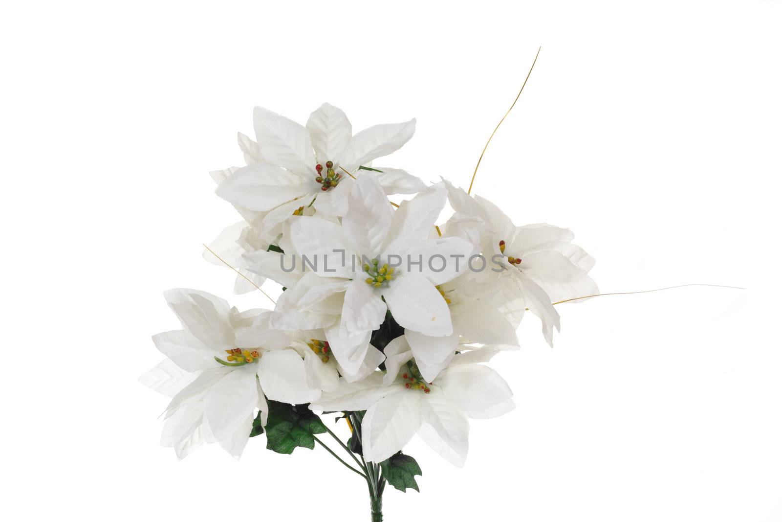 bouquet of flowers, photo on the white background