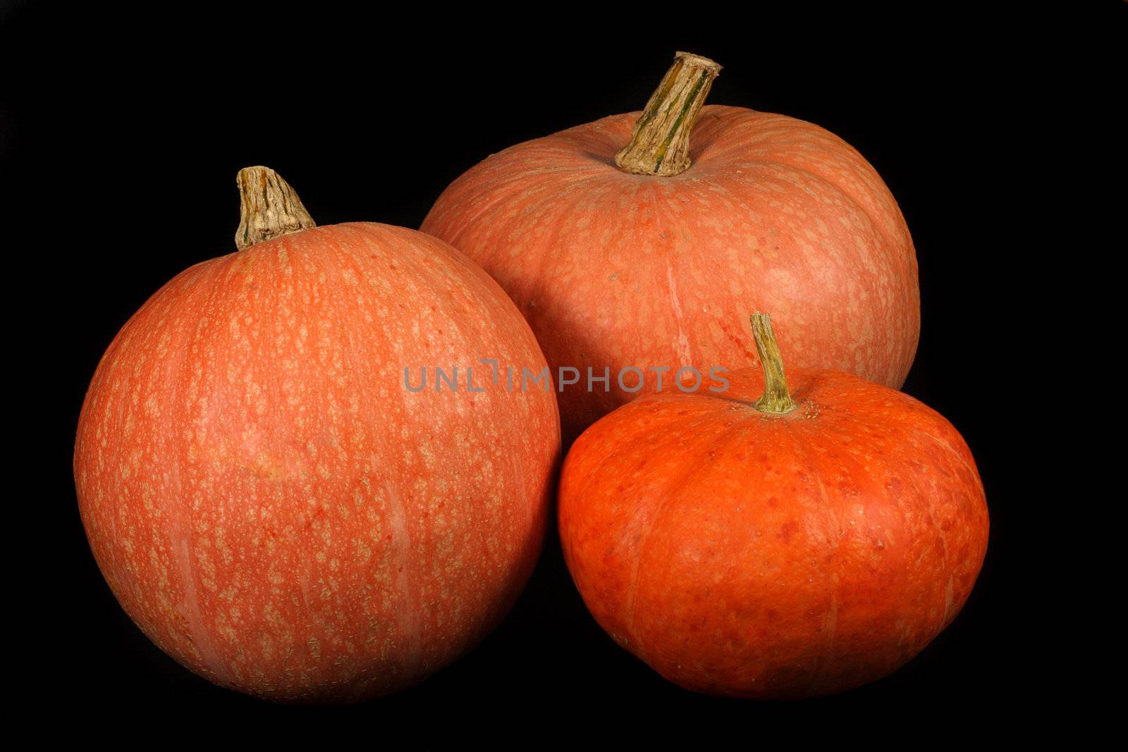 Halloweesn's orange pumpkin photo on the black background