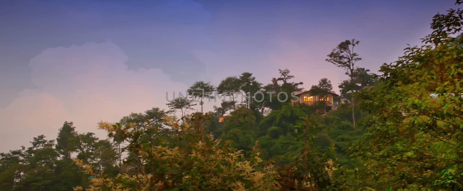 Cottage on a hill, Mountain landscape of Rishop, Darjeeling