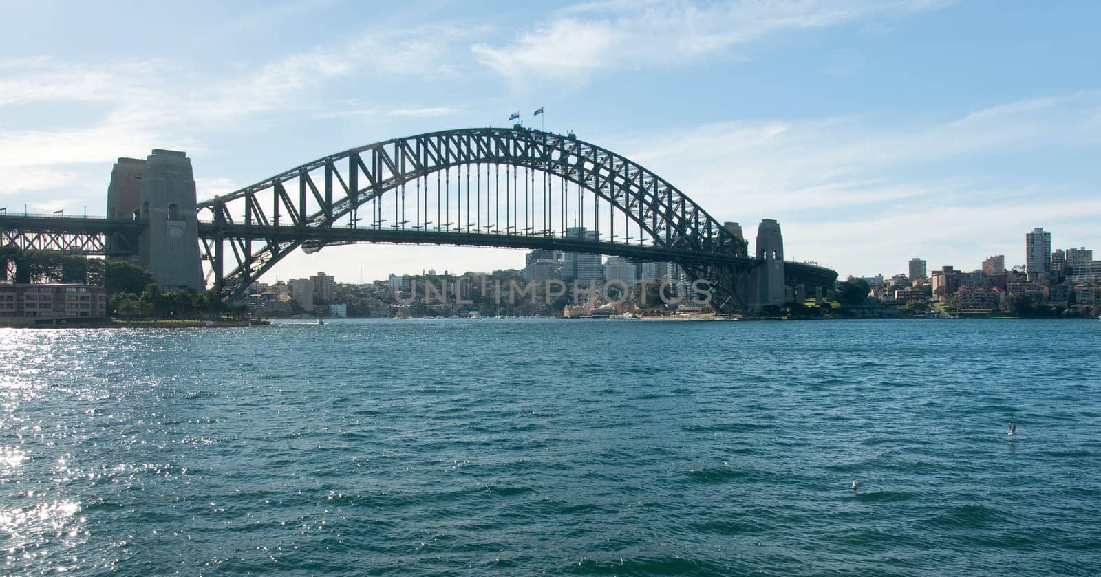 view of the bay and the bridge in Sydney, Australia