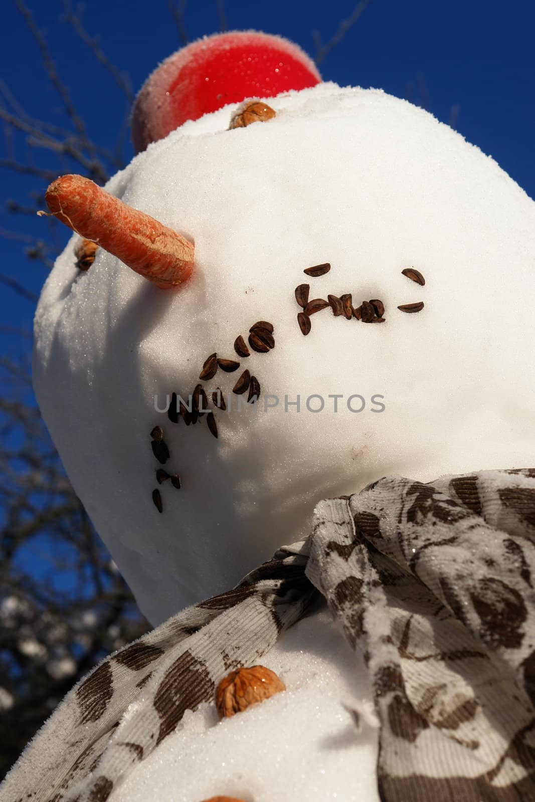 snowman in a winter scene....