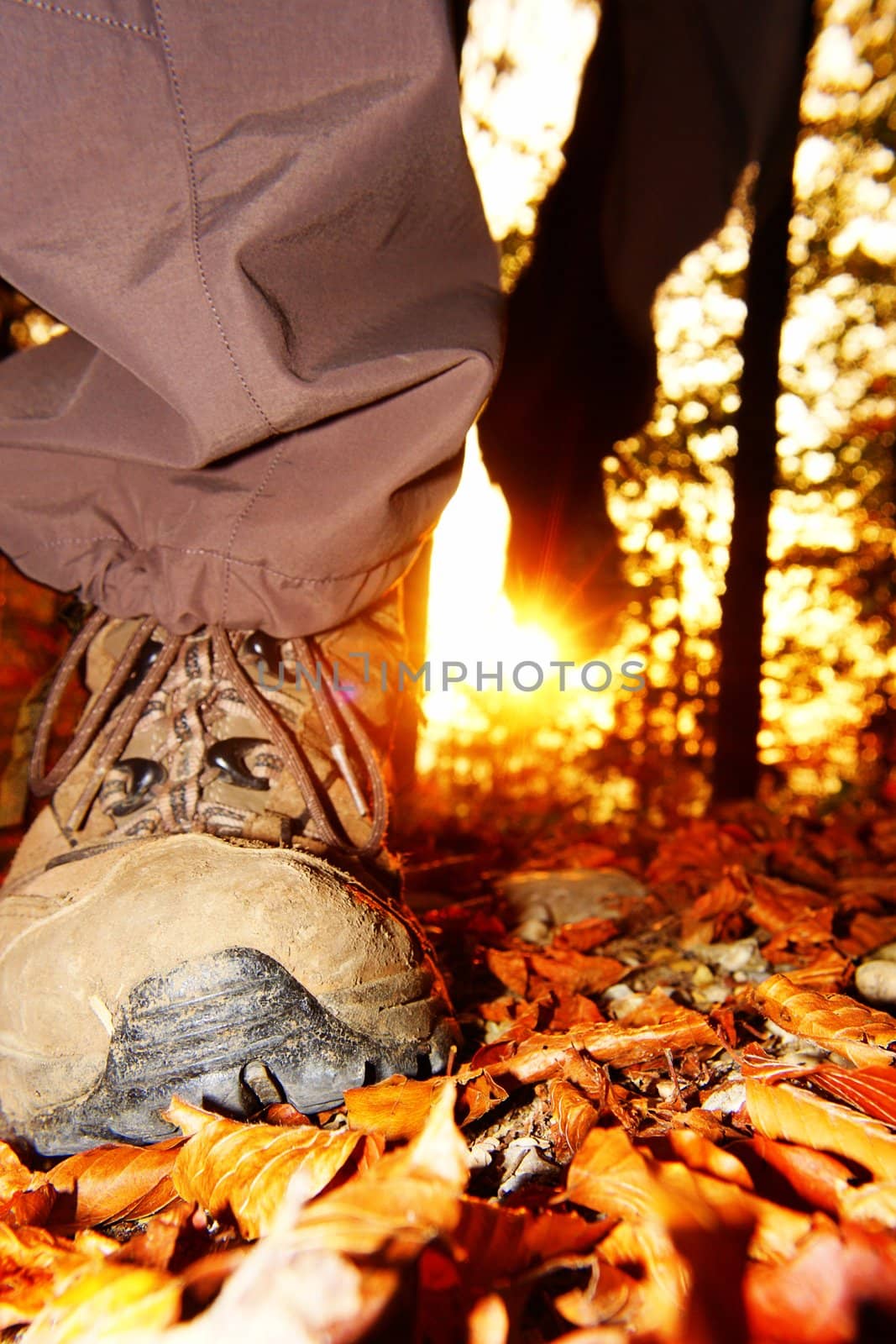 hiking view from the ground