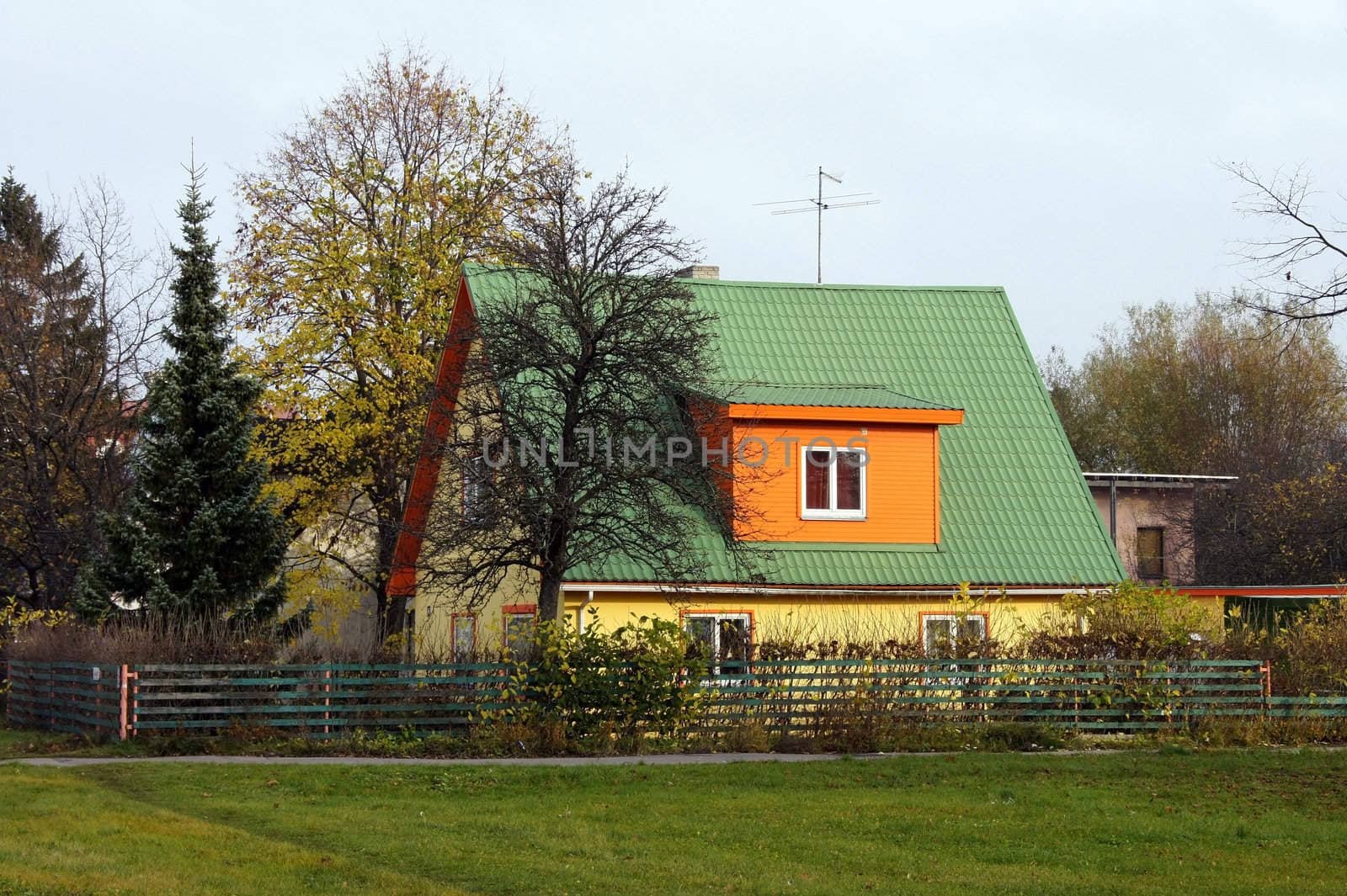 The house and plants by andrei_kolyvanov