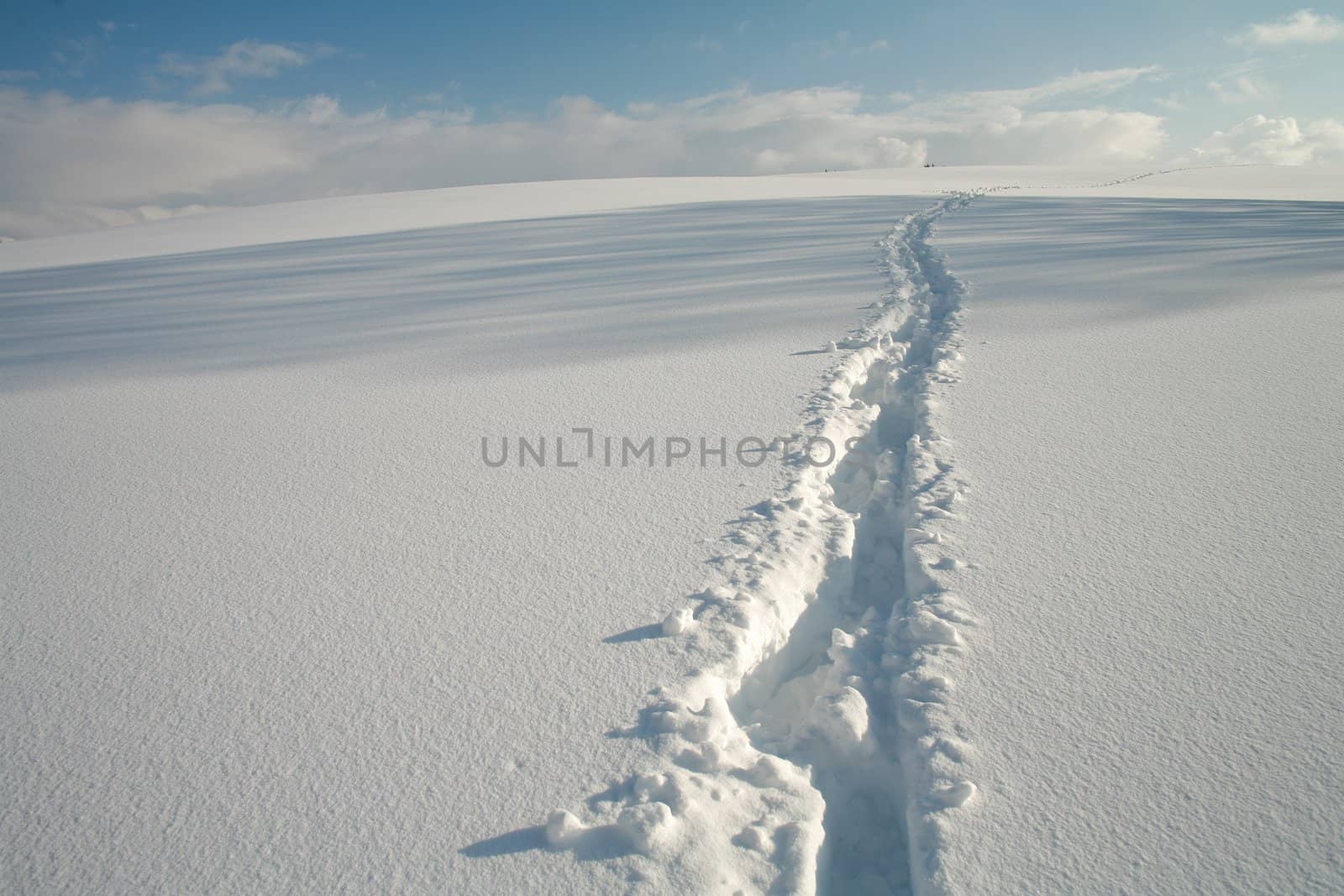 Footprint in snow