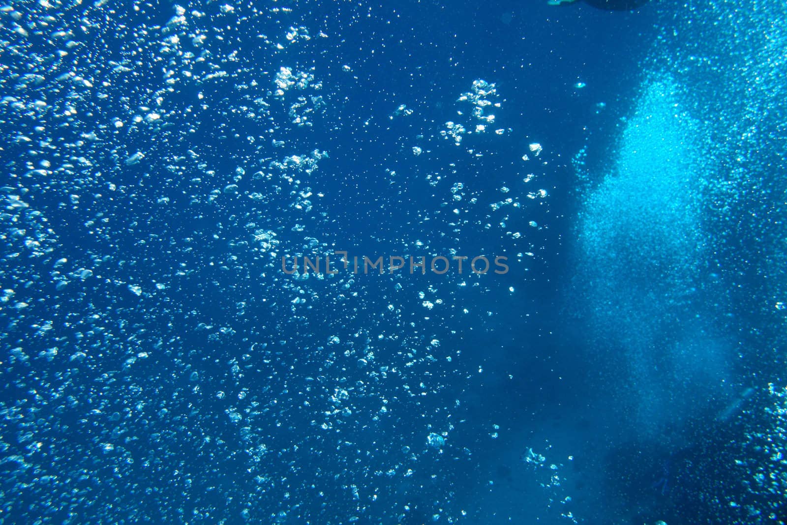 bubbles in fresh blue clear water in the red sea