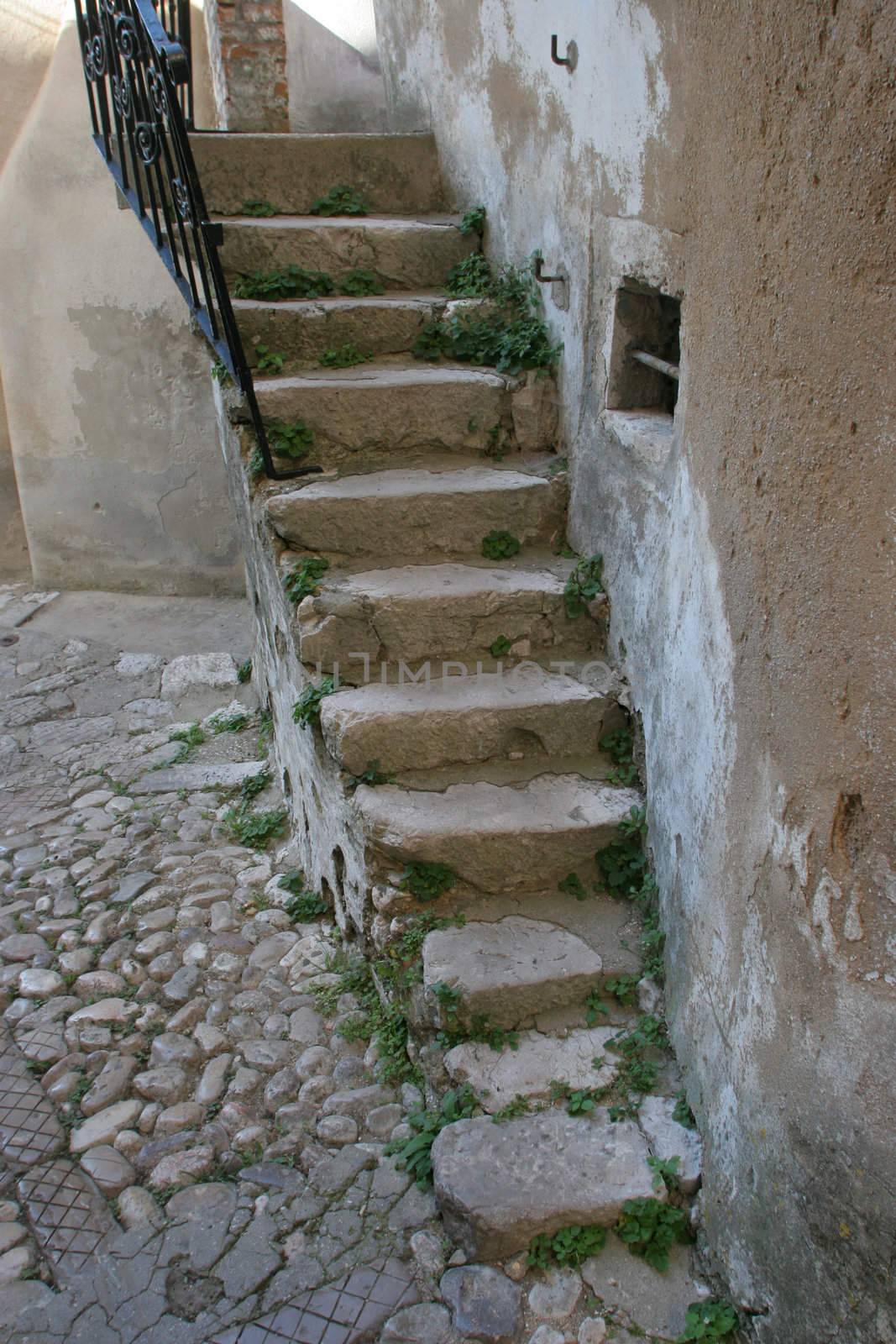 The old cracked stone stairs
