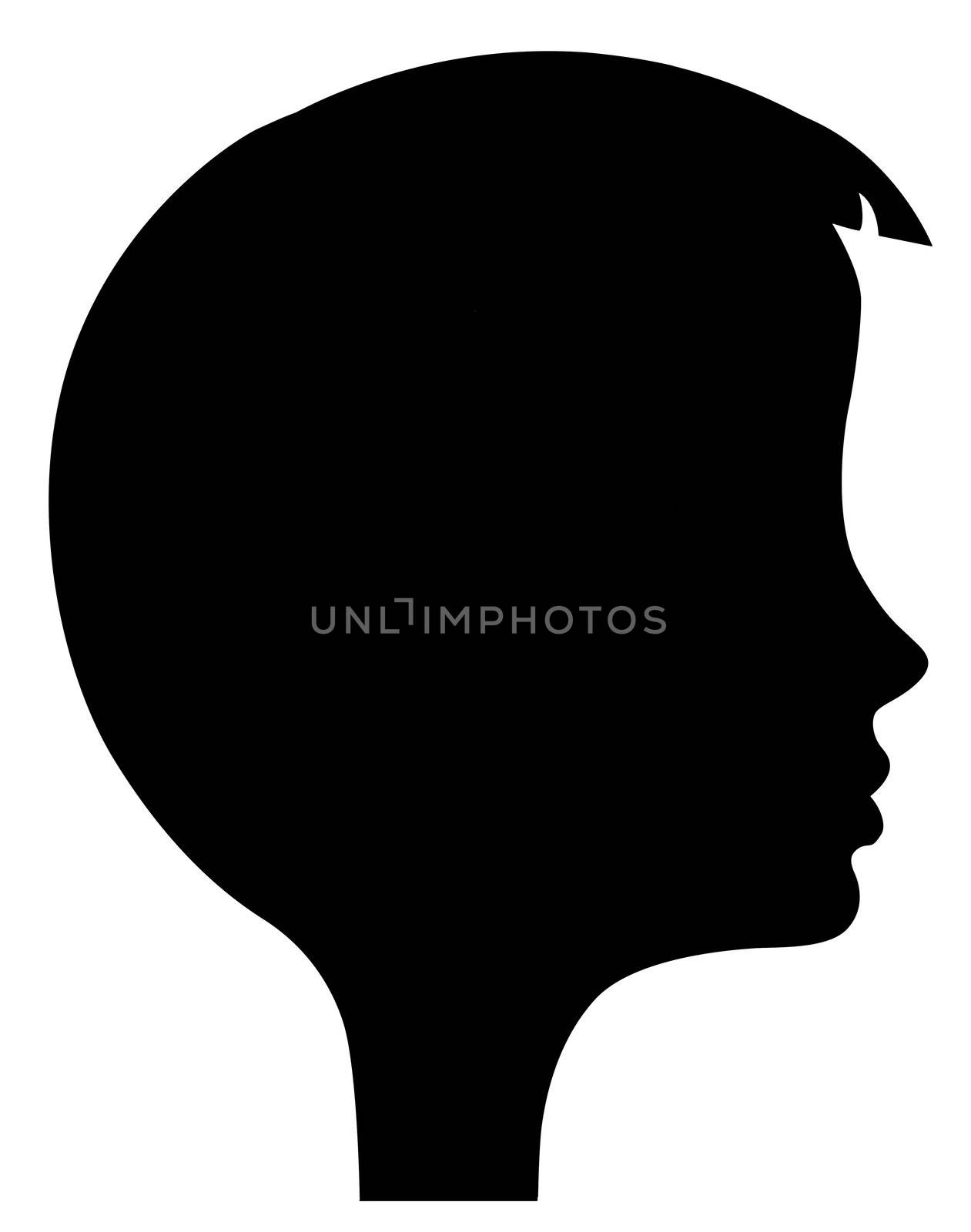 vector silhouette of the head of the girl