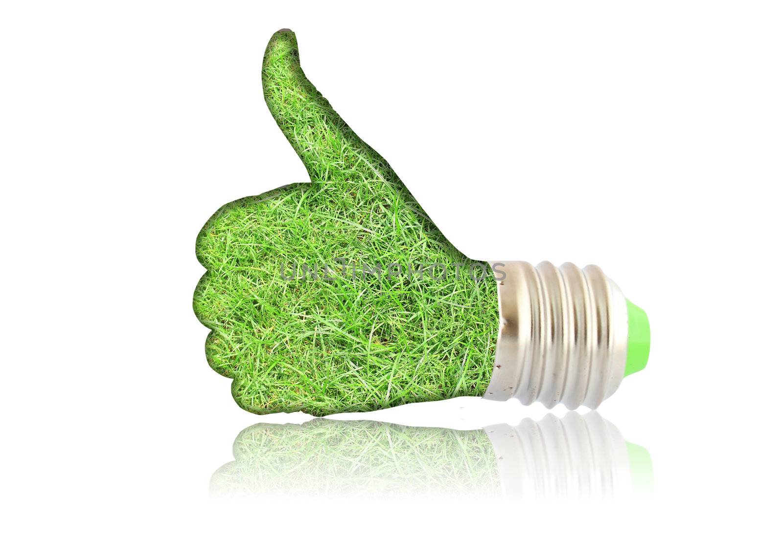 lightbulb - hand with grass. Concept - eco energy  by rufous