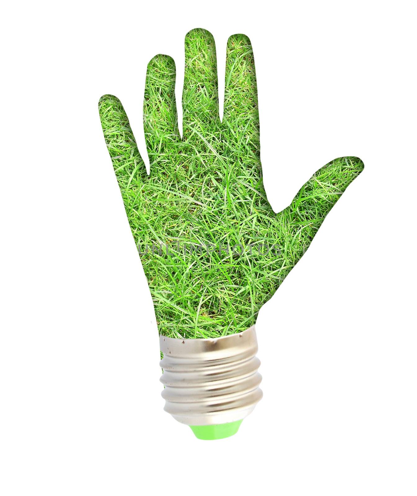 lightbulb - hand with grass. Concept - eco energy