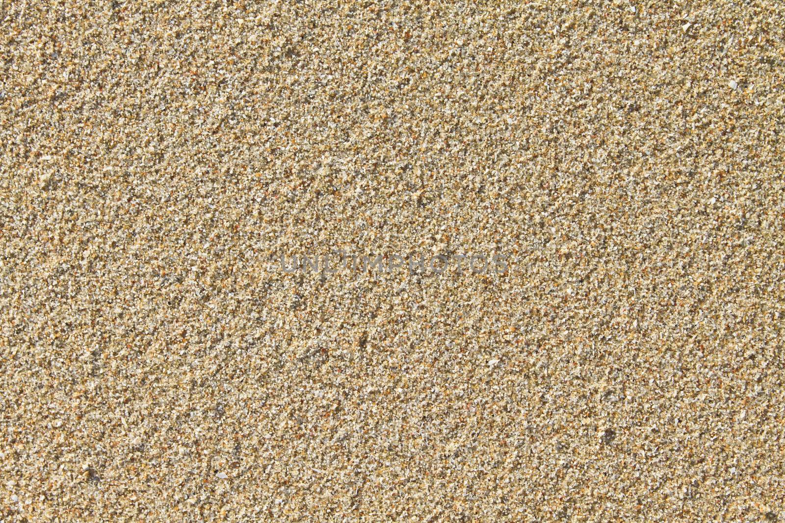 Sand texture for background