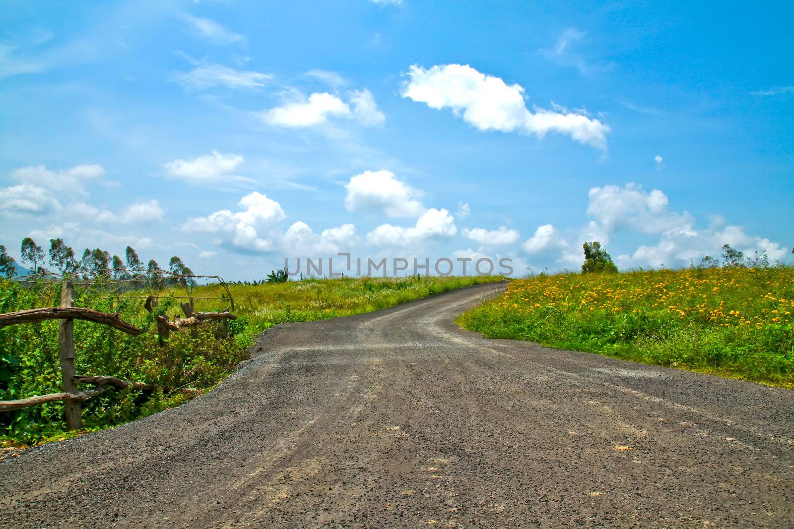 Landscape of the road to the hill