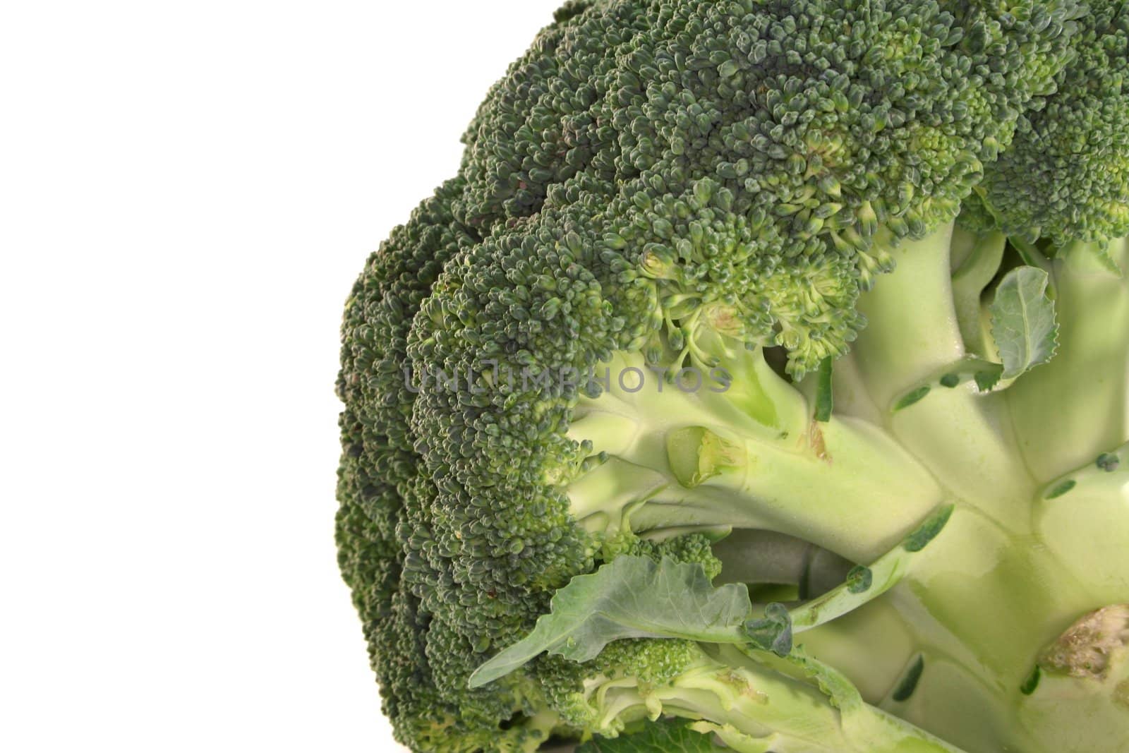 Broccoli by silencefoto