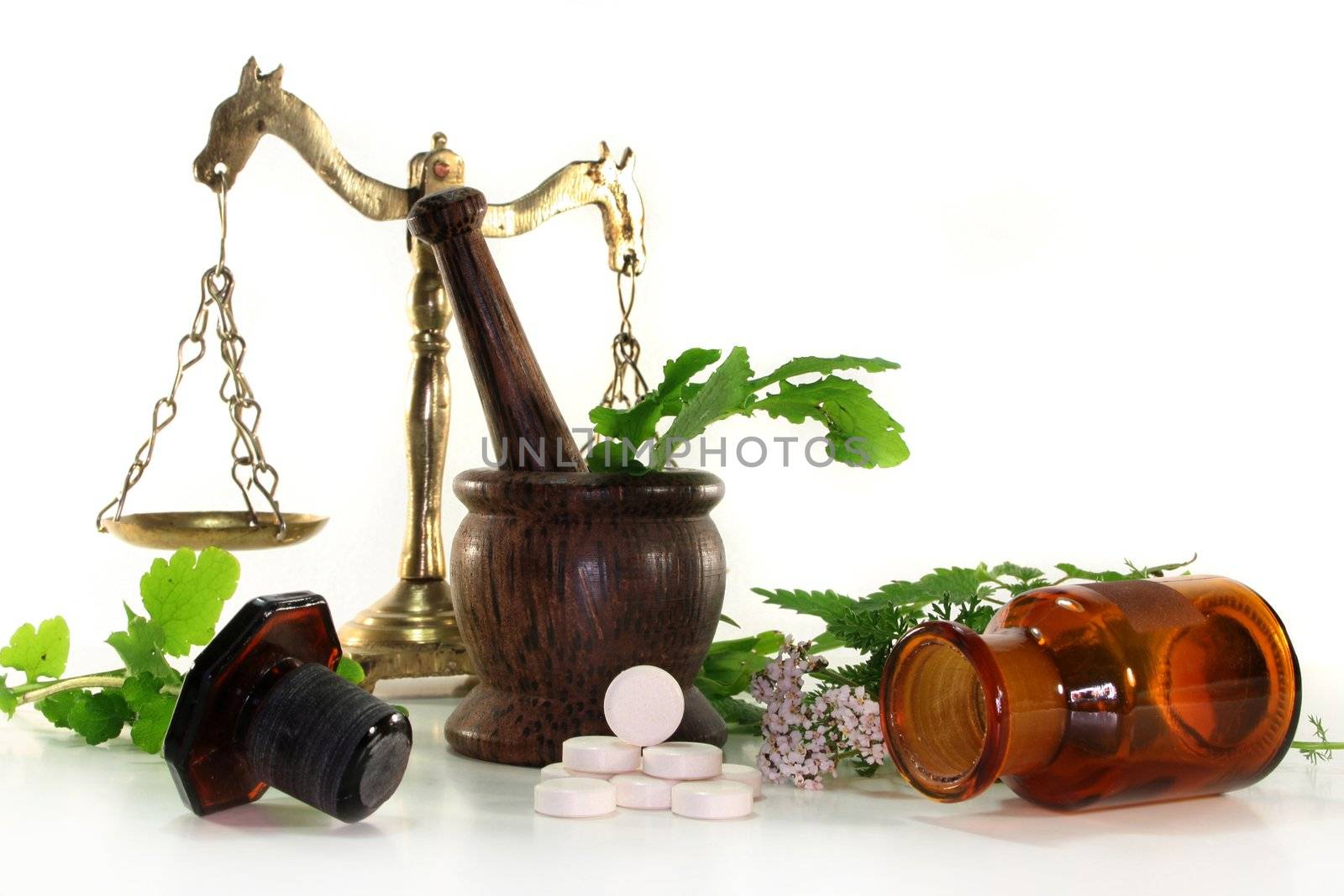 fresh herbs and spices on a white background