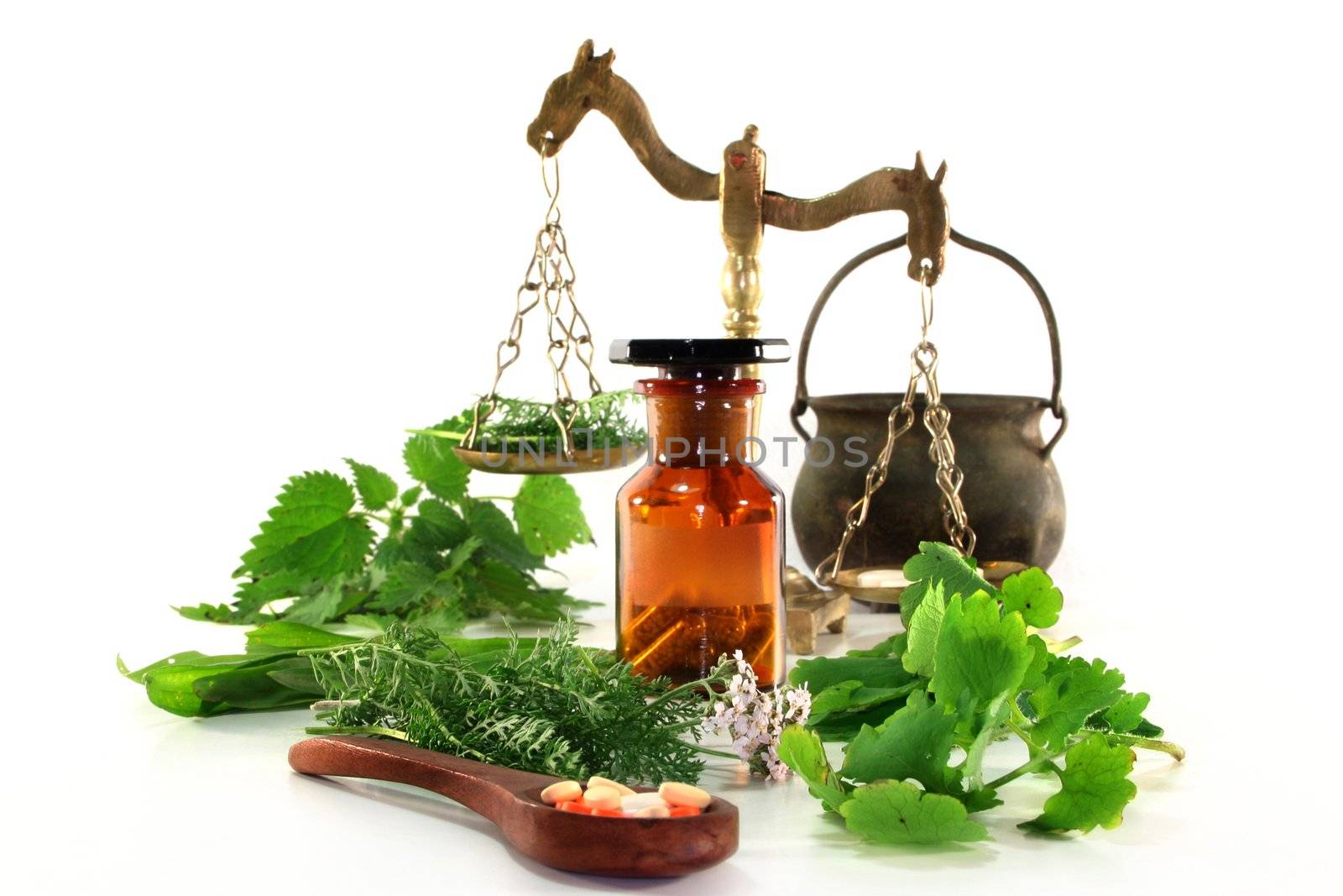 fresh herbs and spices on a white background