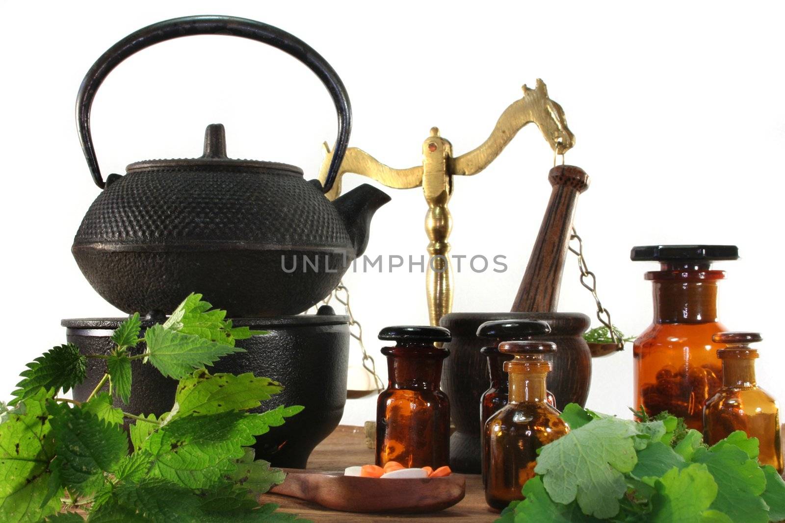 fresh herbs and spices on a white background