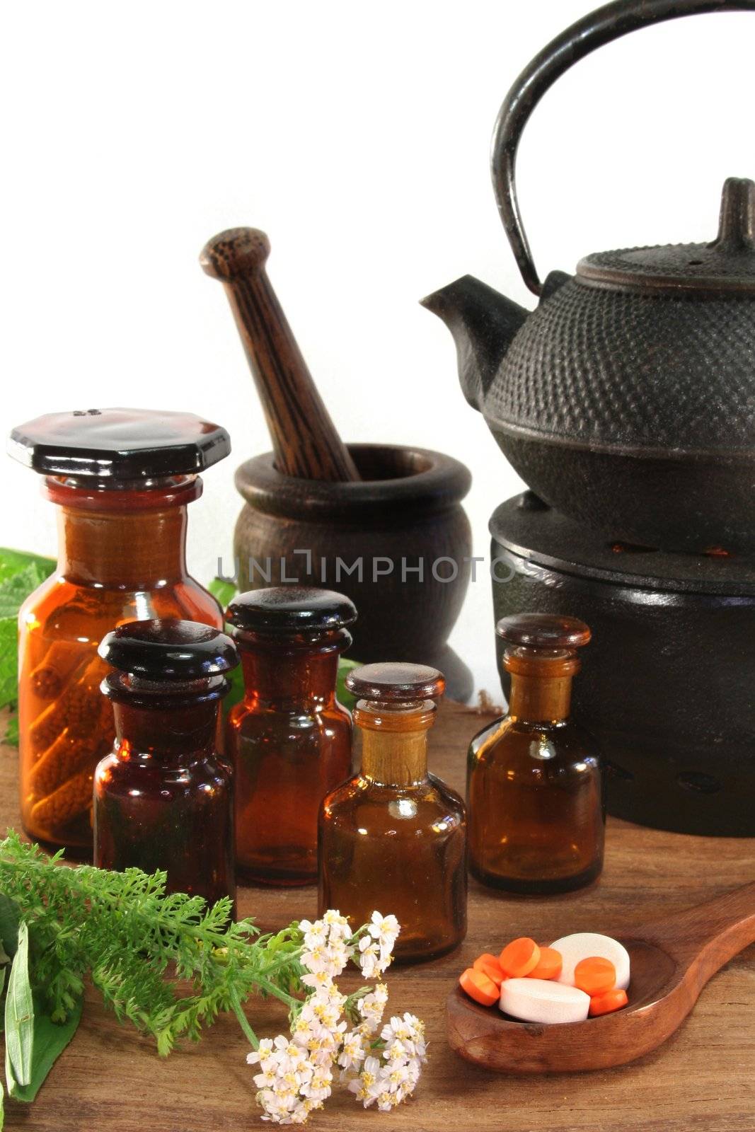 fresh herbs and spices on a white background