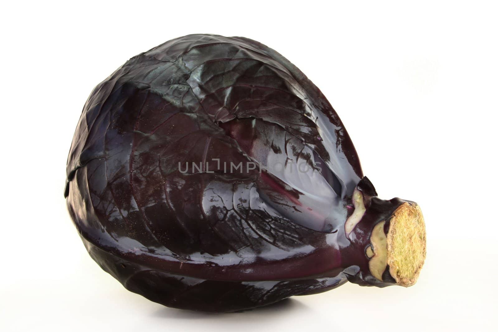 Red cabbage on a white background