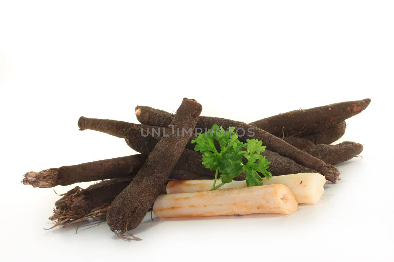 Salsify and parsley on a white background
