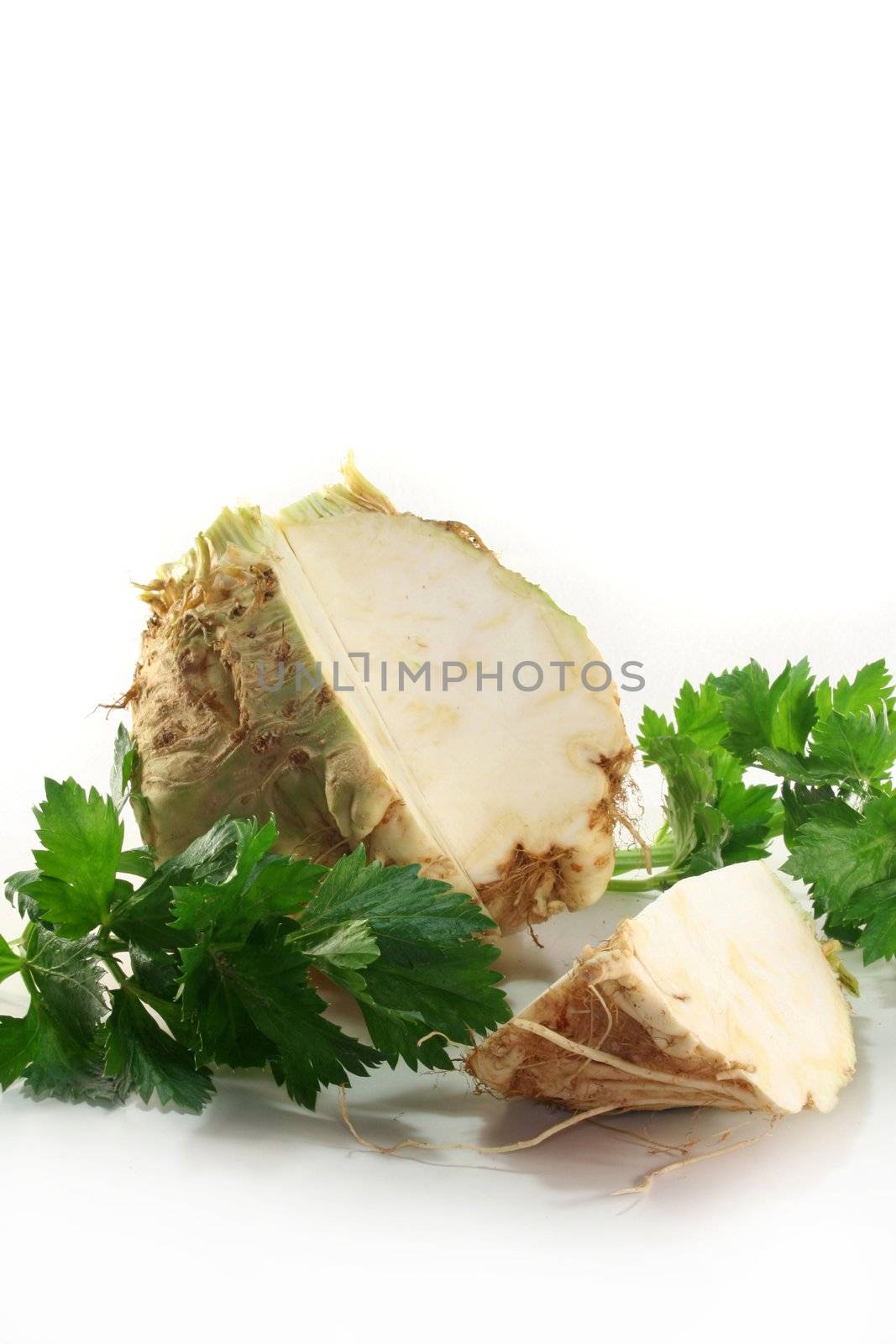 Celery with celery leaves on a white background
