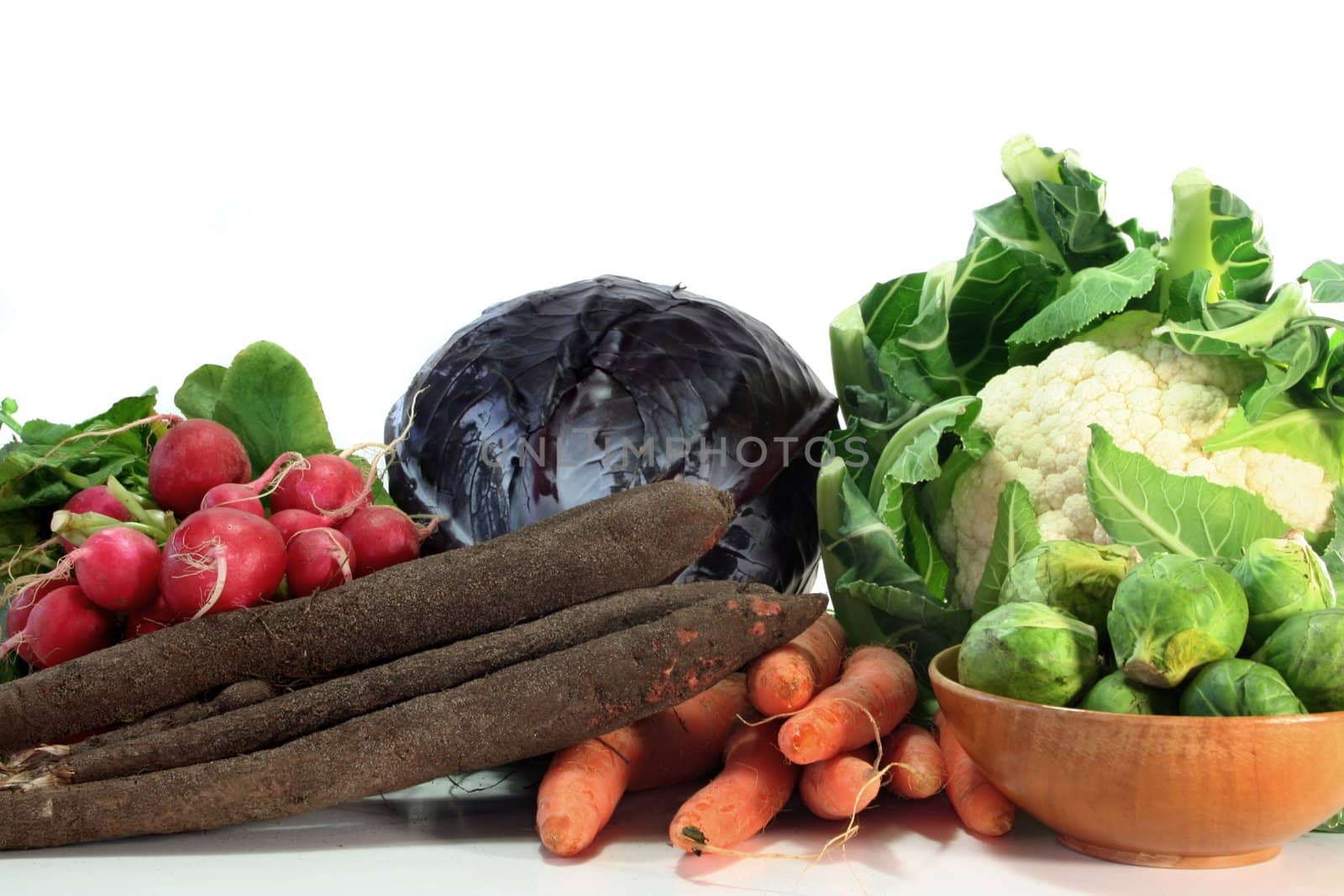 fresh winter vegetables on a white background