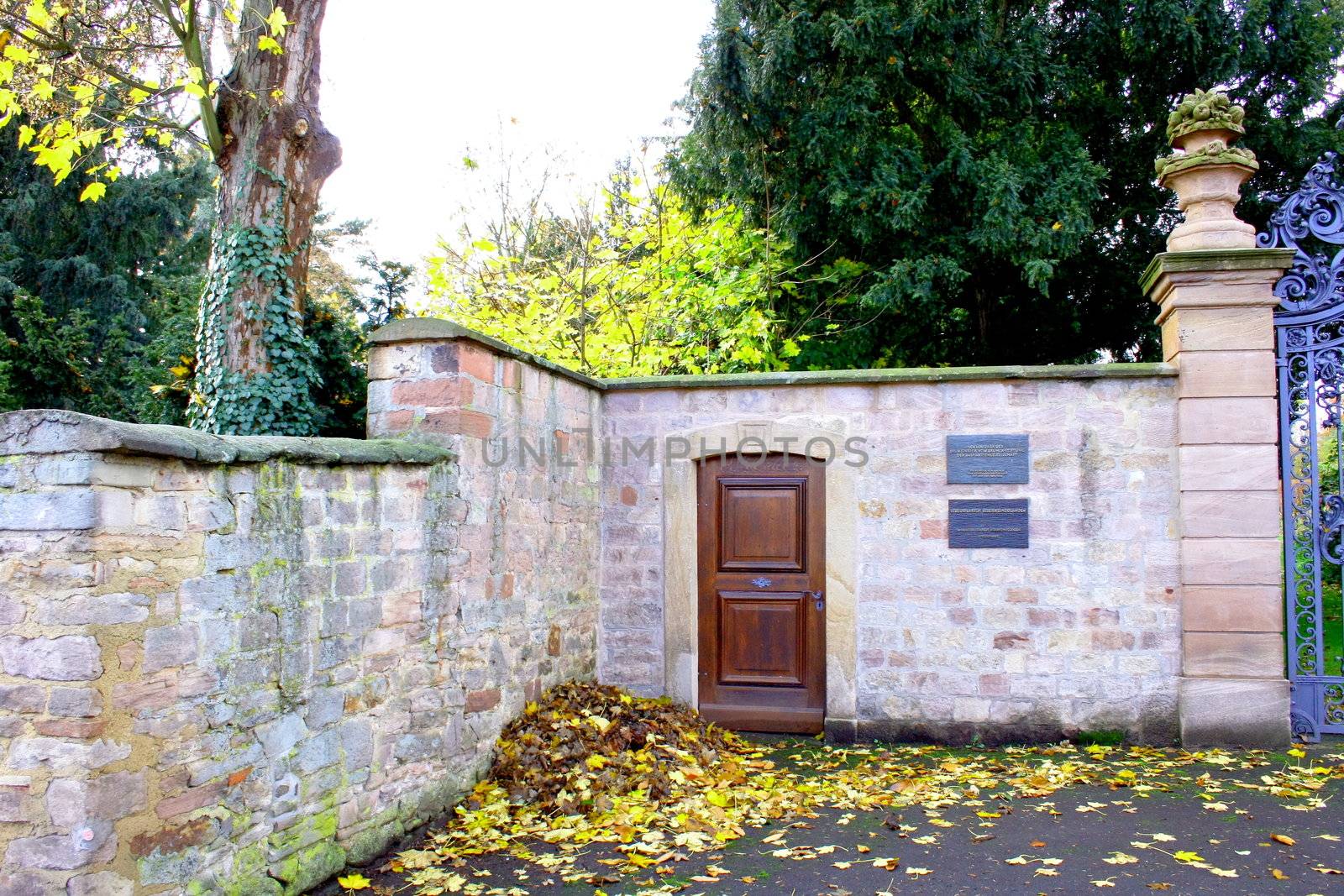 schöne Holztür in einer Parkmauer,im Herbst	
beautiful wooden door in a park wall, in the fall