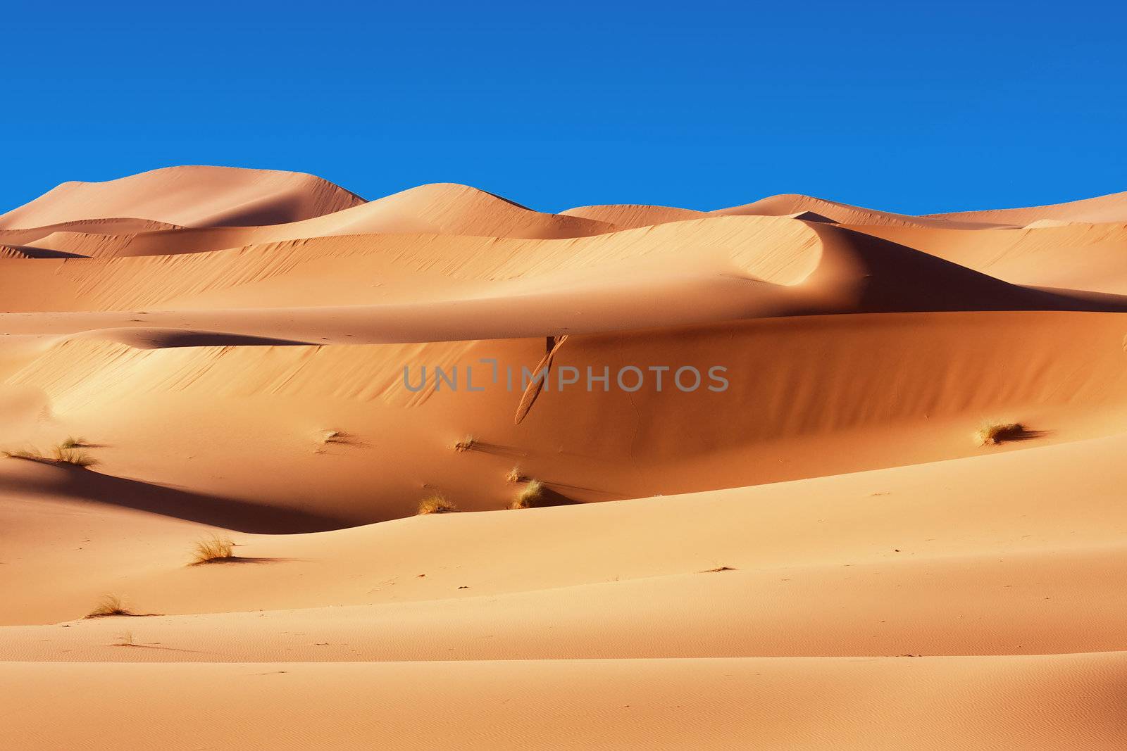 Moroccan desert dunes background and Blue sky 