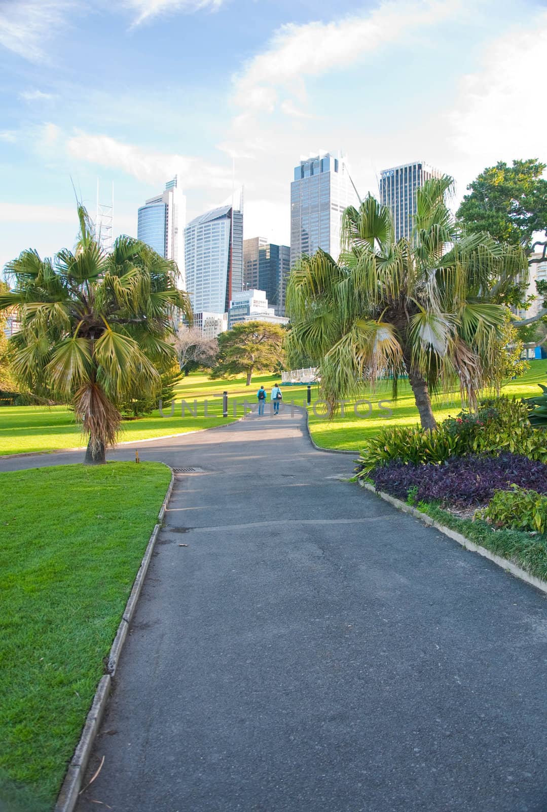 buildings and skyline in Sydney, australia