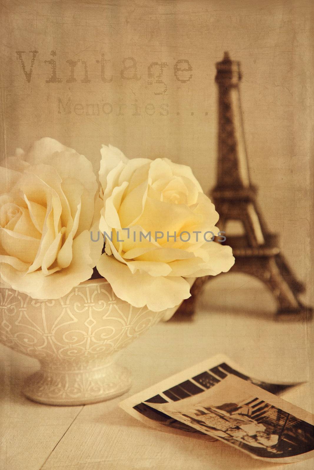 Antique roses with old photos by Sandralise