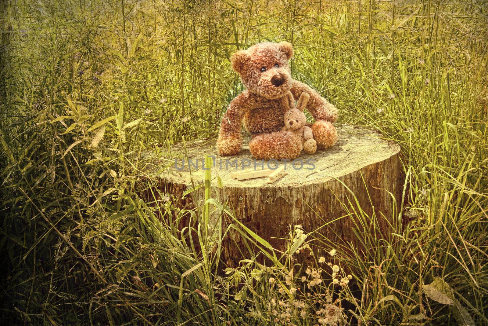 Small little bears on old wooden stump in grass by Sandralise