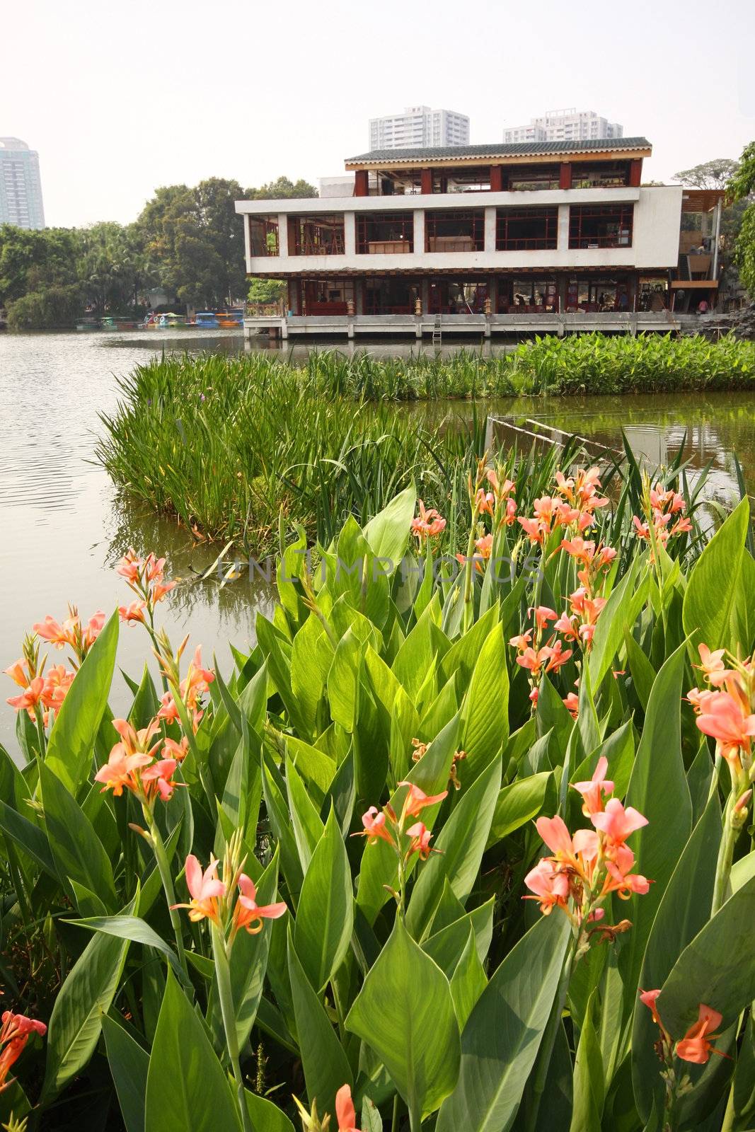 Flowers in garden