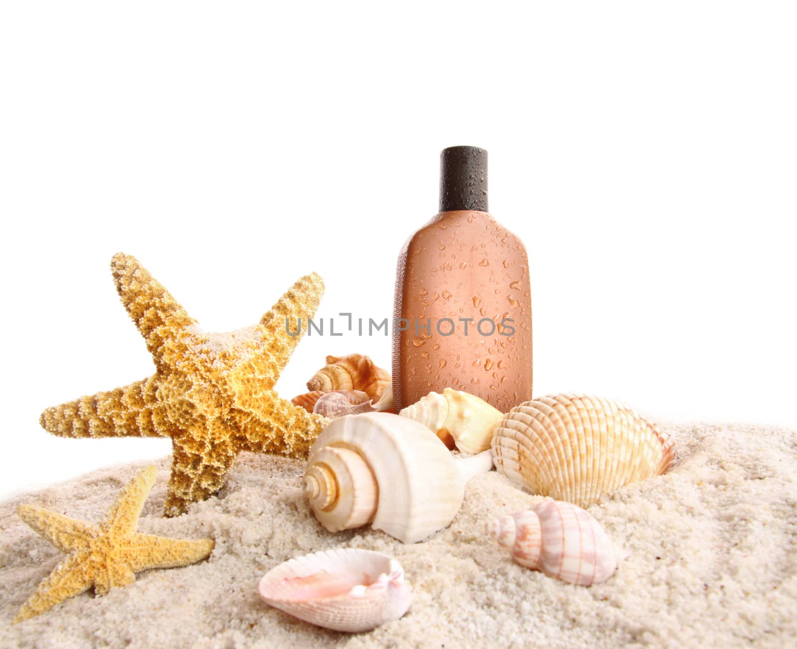 Suntan lotion and seashells on white background