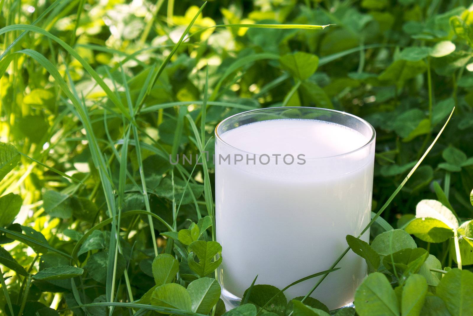Fresh natural milk a useful product containing necessary vitamins for your organism