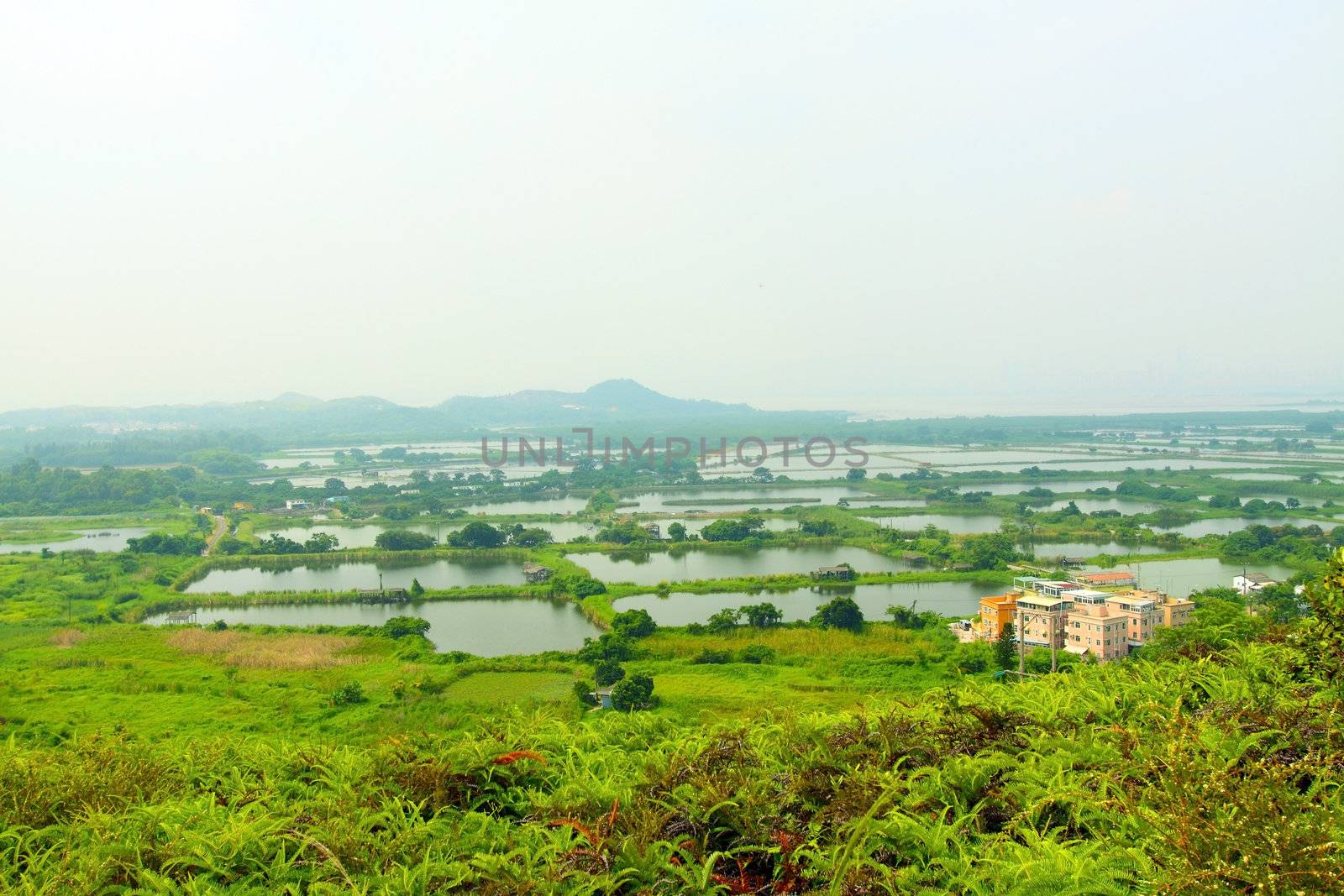 Fish ponds and farmland in Hong Kong by kawing921