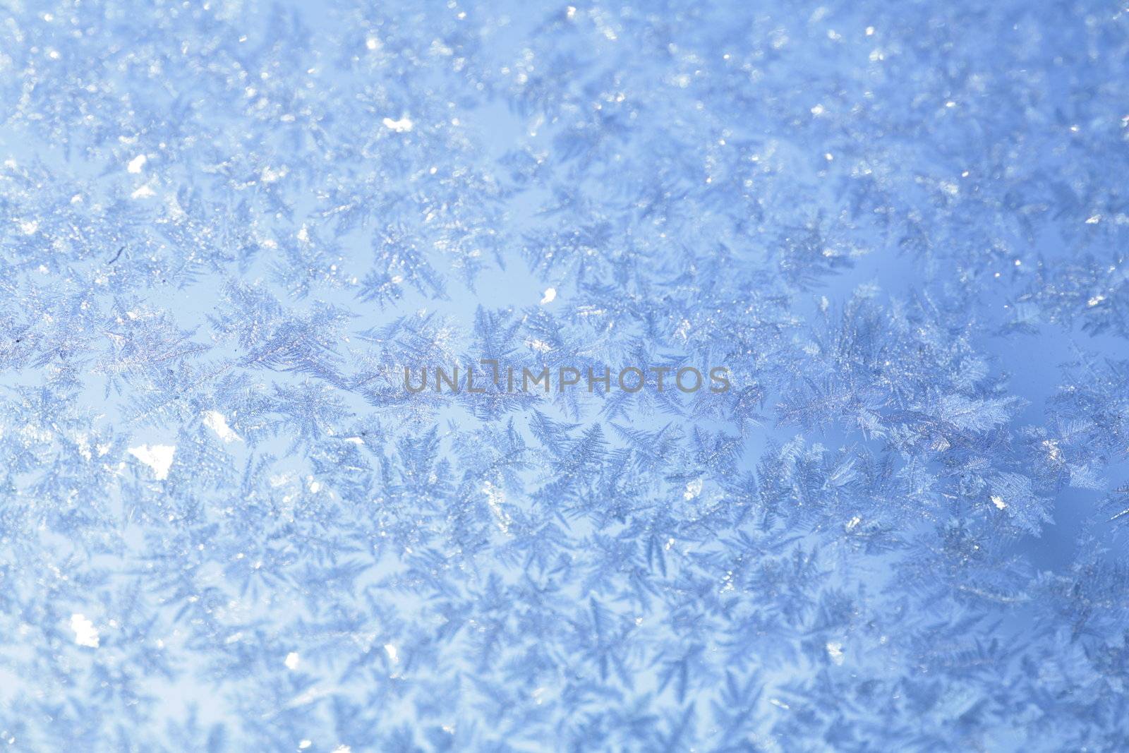 evening blue frost pattern texture on the glass