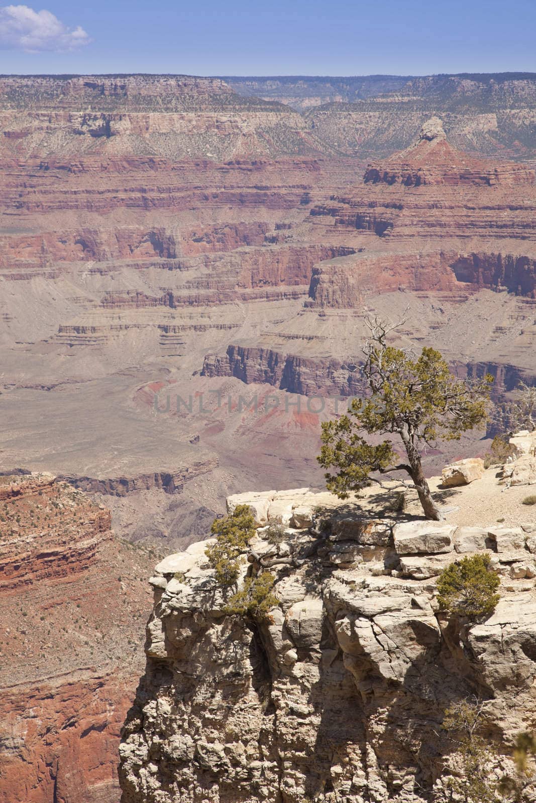 Beautiful Grand Canyon Landscape View by Feverpitched
