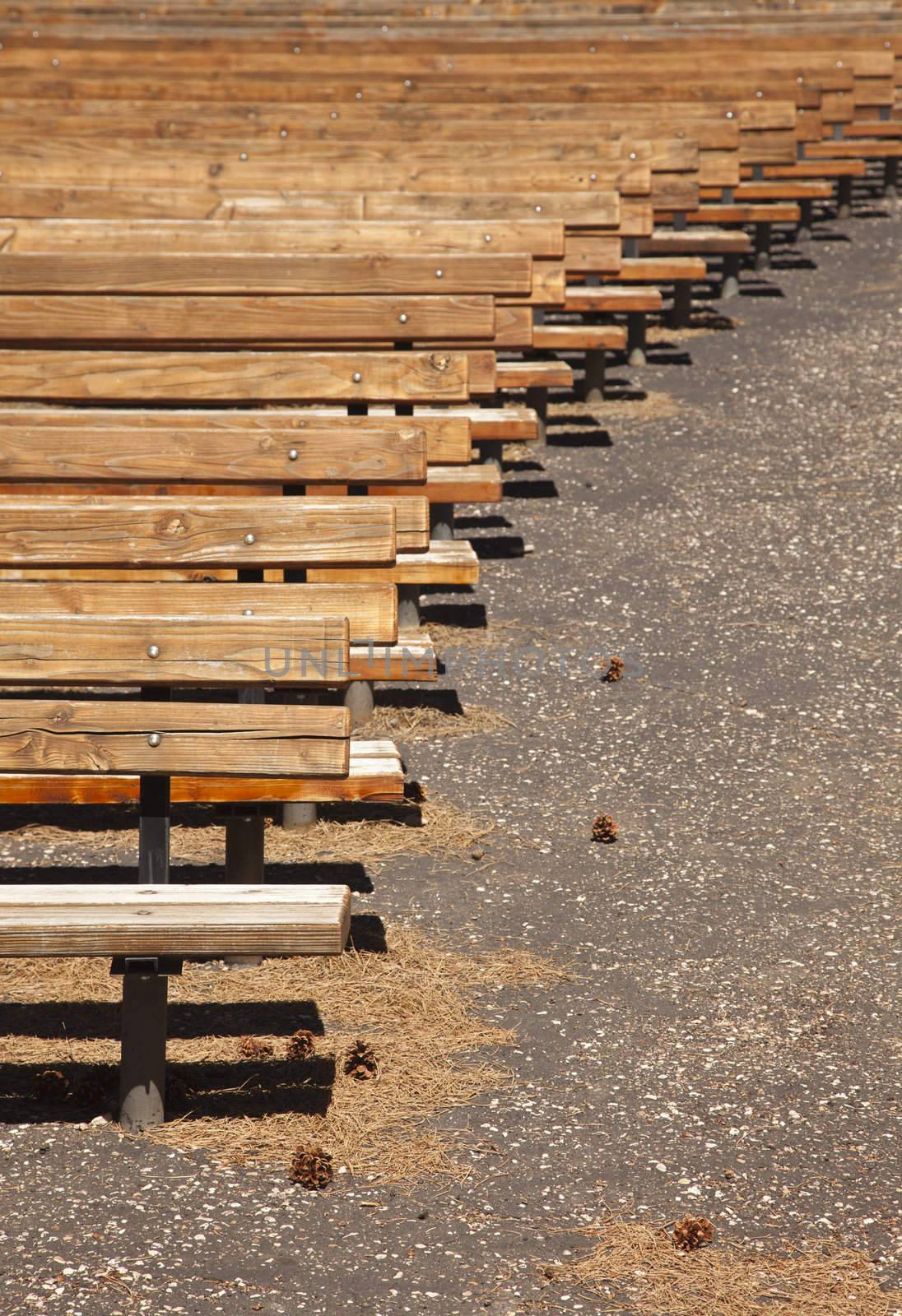 Outdoor Wooden Amphitheater Seating and Pine Cones and Pine Needles Abstract.