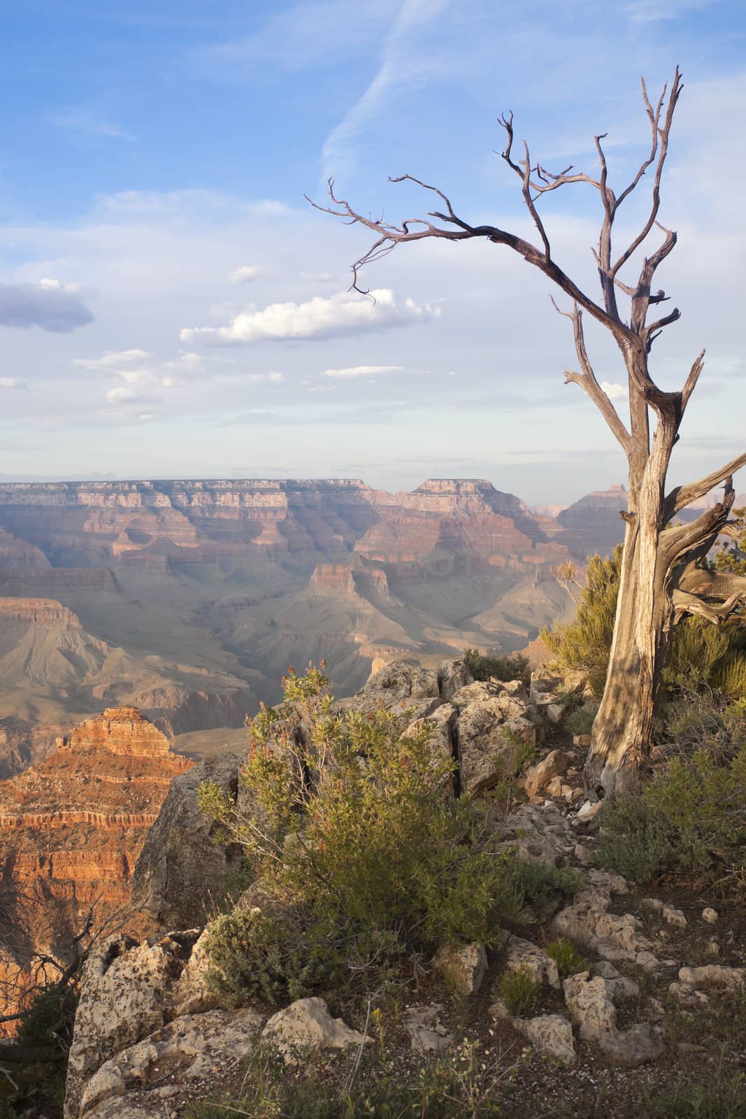 Beautiful Landscape of the Grand Canyon, Arizona.