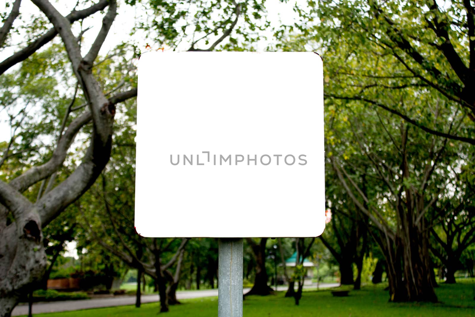 Banner white background square in the park.