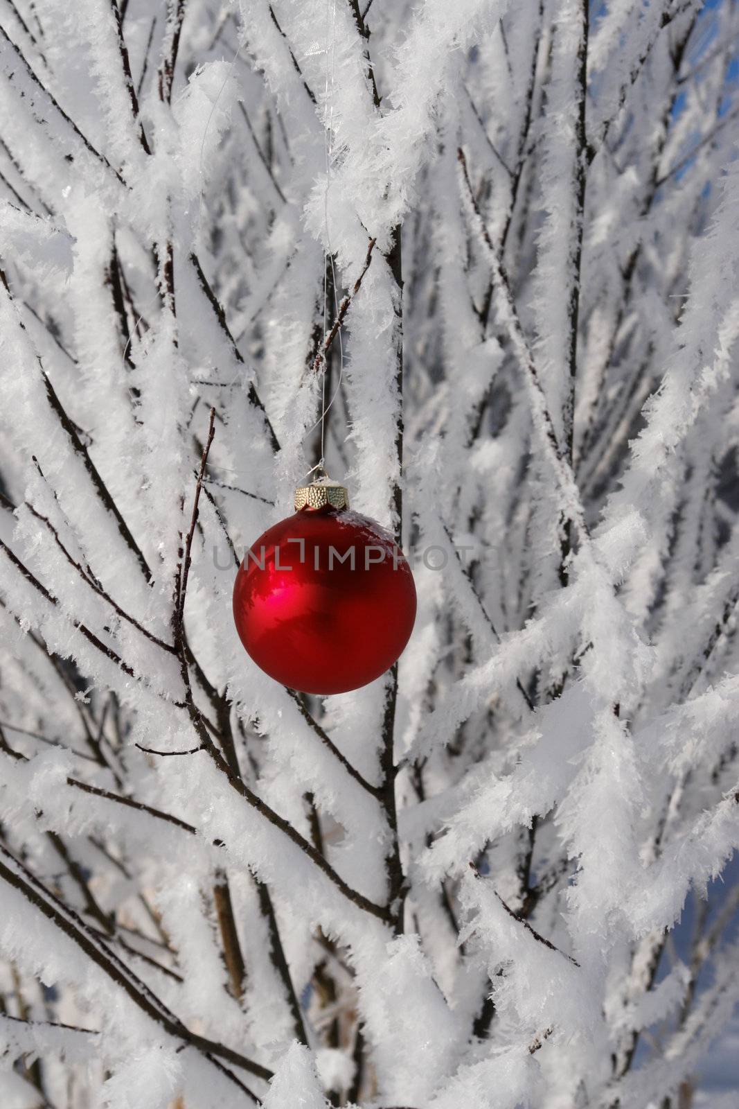 a red bauble in snowy winter landscape