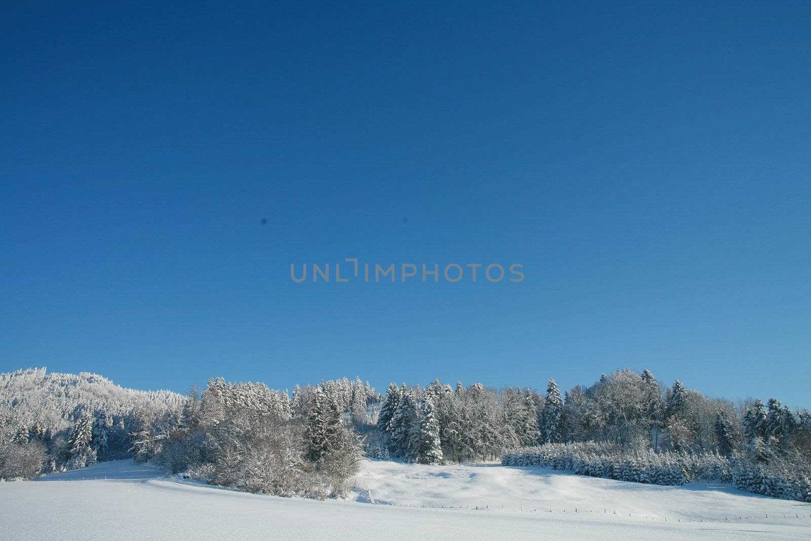 beautiful winter landscape