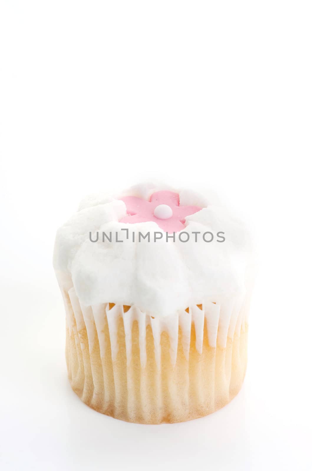 little iced cupcake isolated on white background
