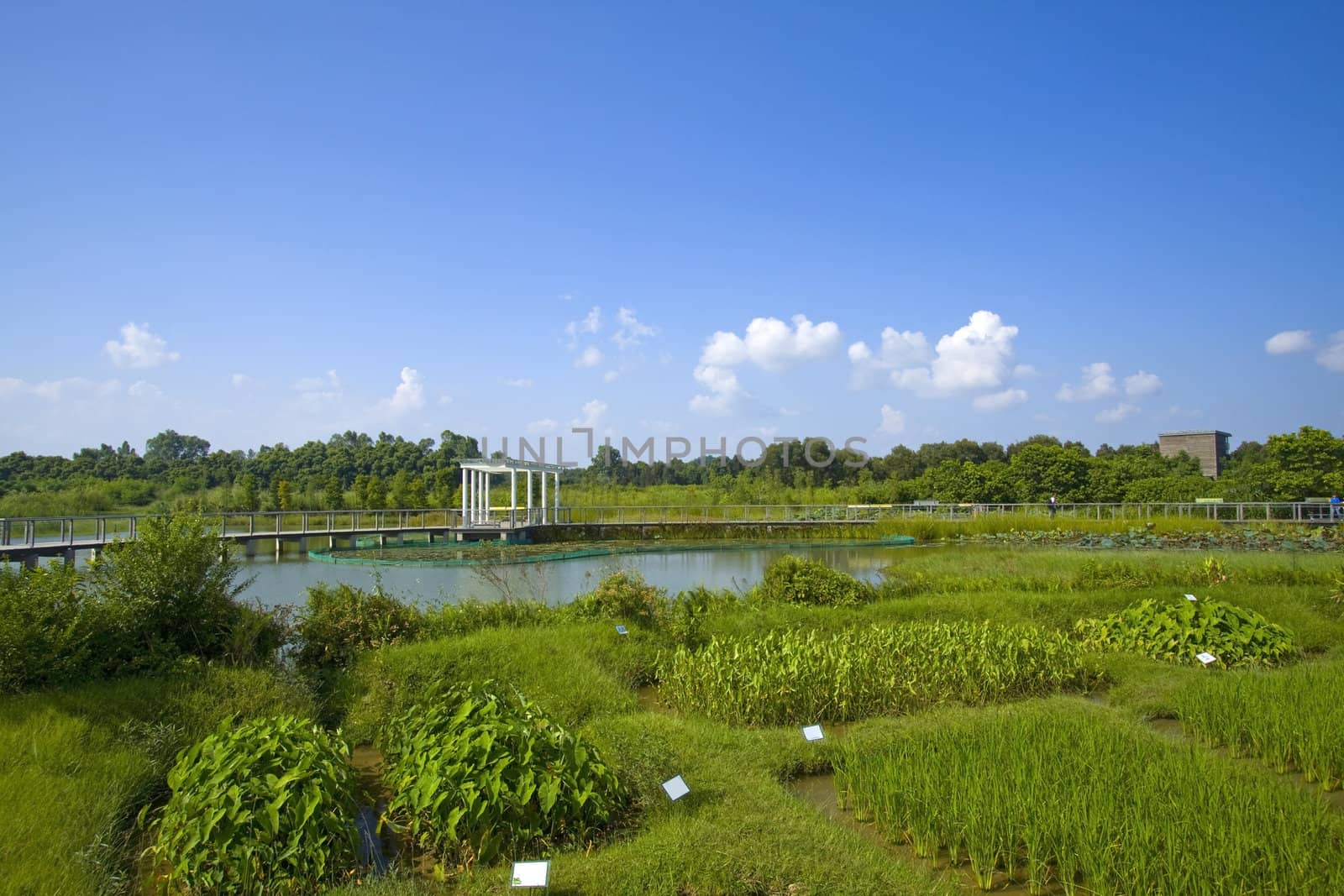 Hong Kong Wetland Park by kawing921