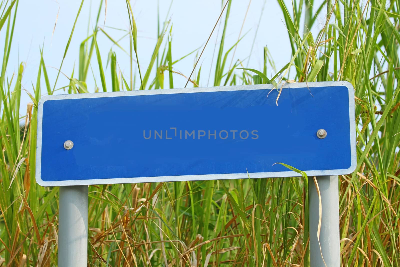 Blank signage in countryside by kawing921