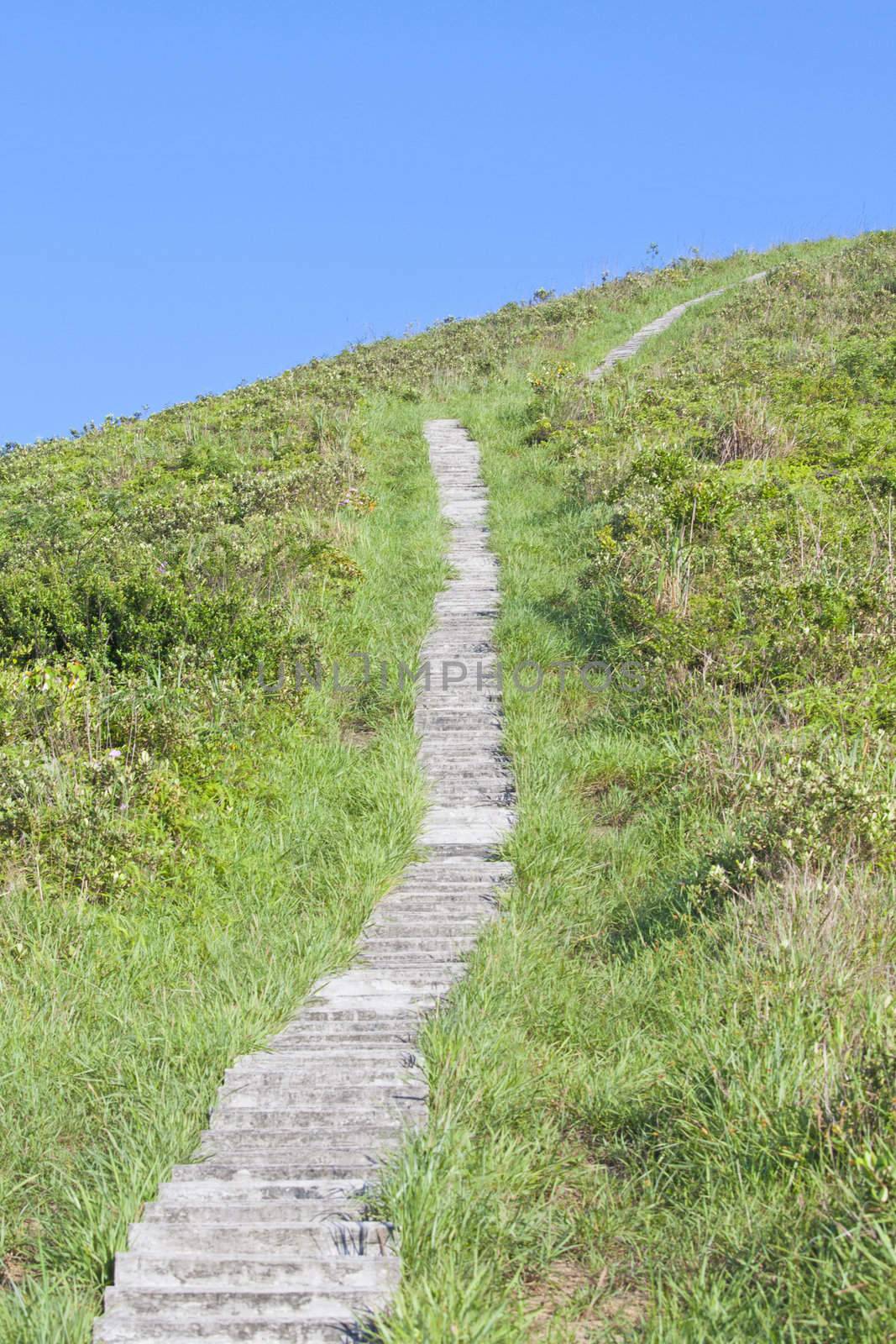 Hiking path