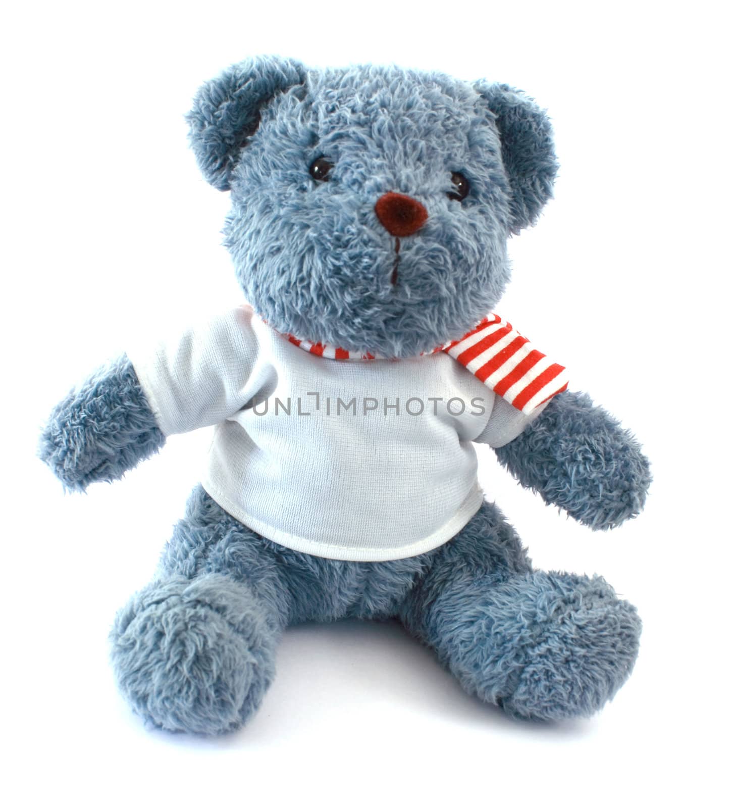 Teddy bear on white background