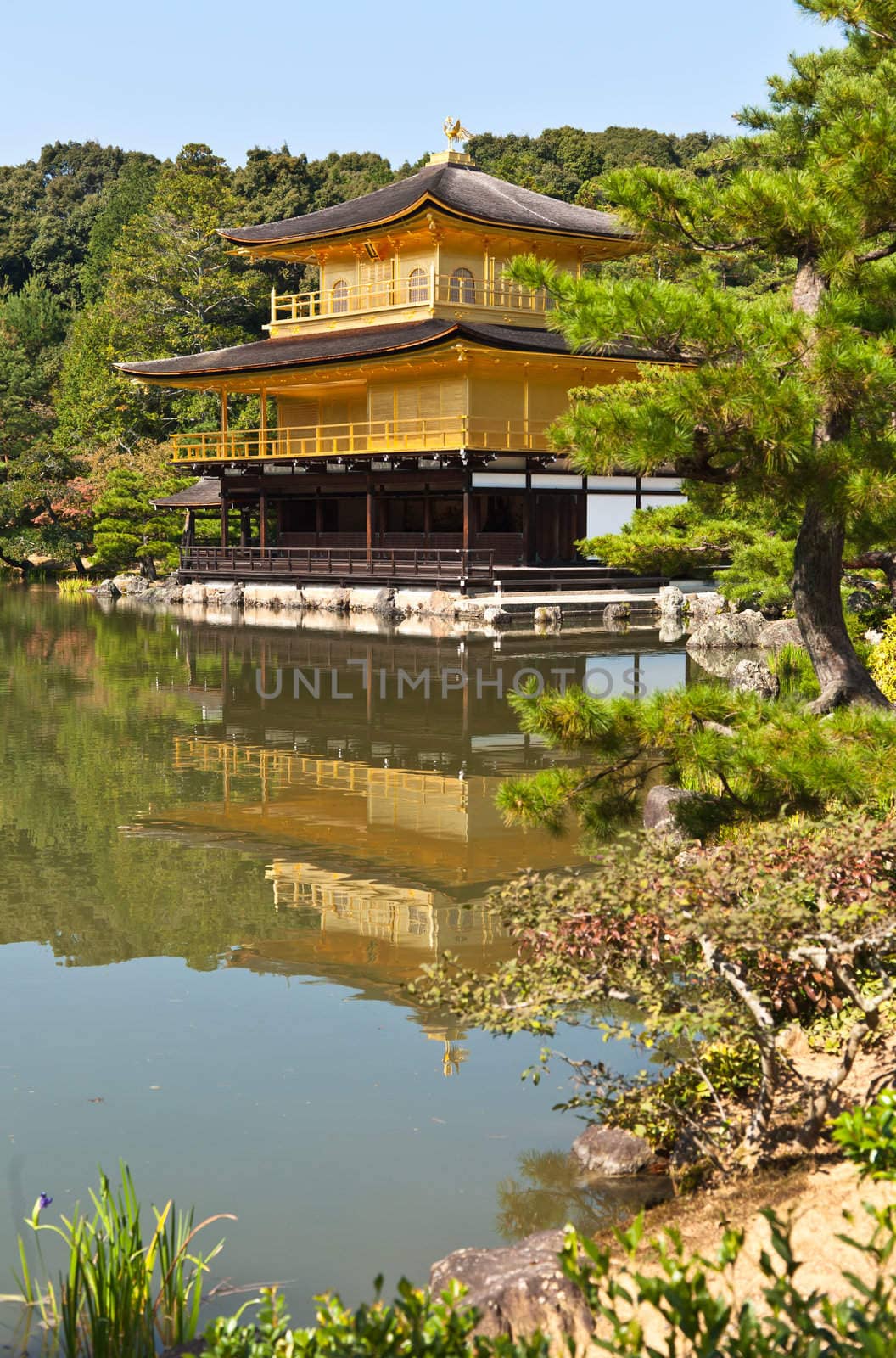 Japanese golden pagoda and reflex on water