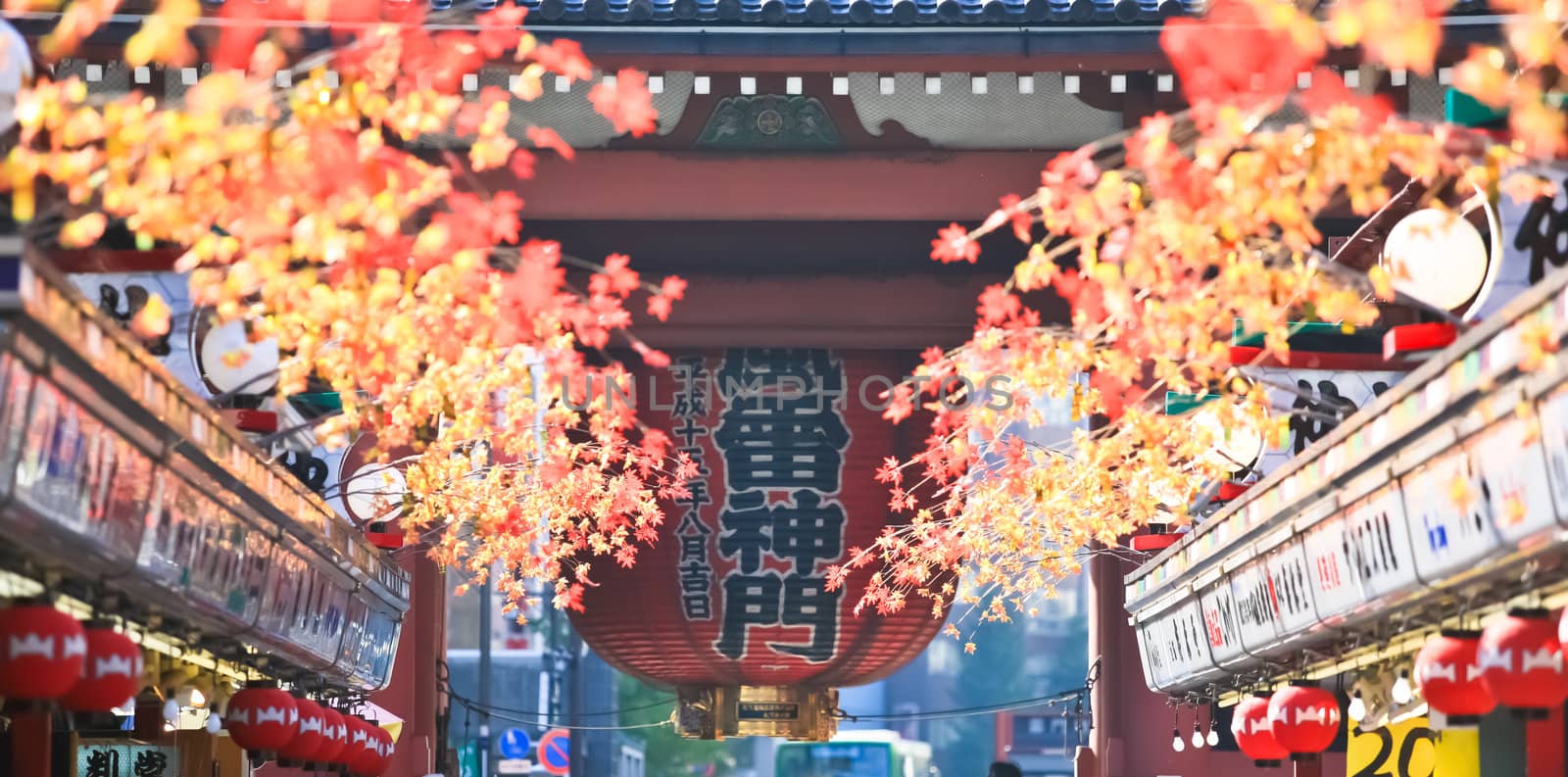 Red leaves of mable at Janpanese temple by Suriyaphoto