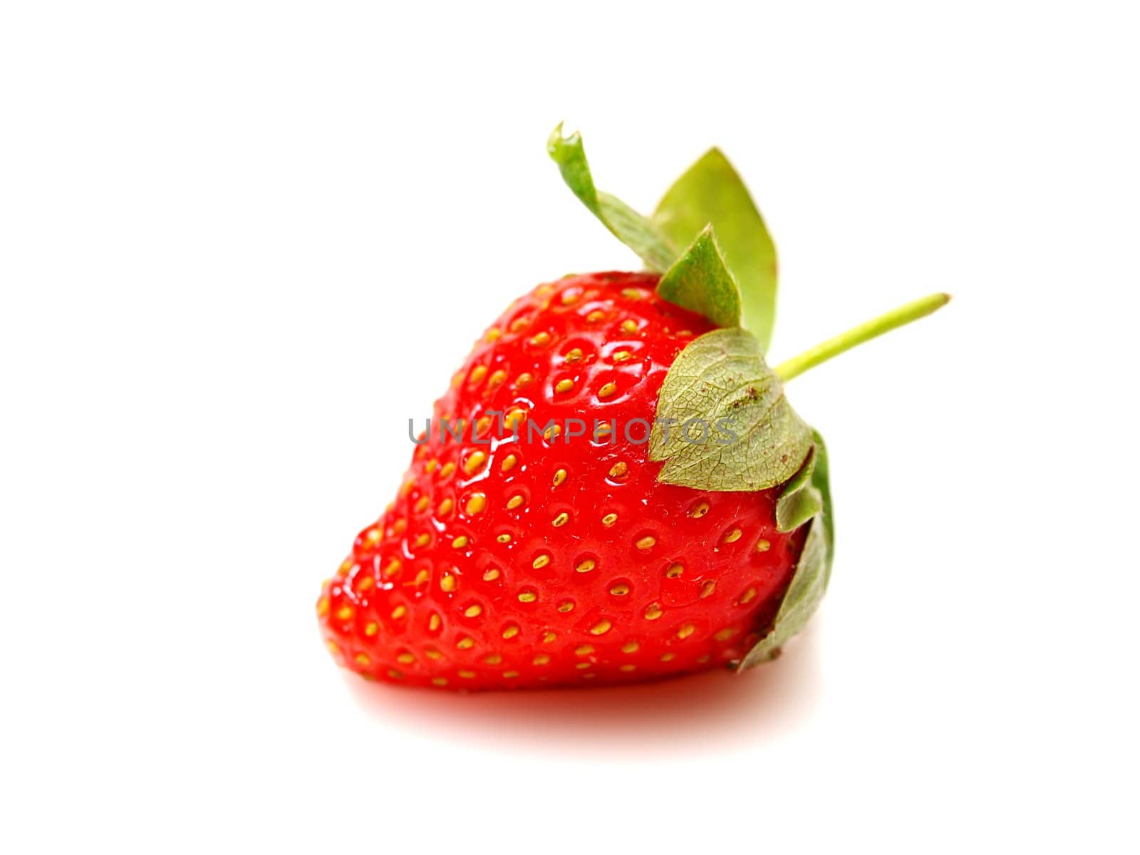 One strawberry fruit, isolated towards white