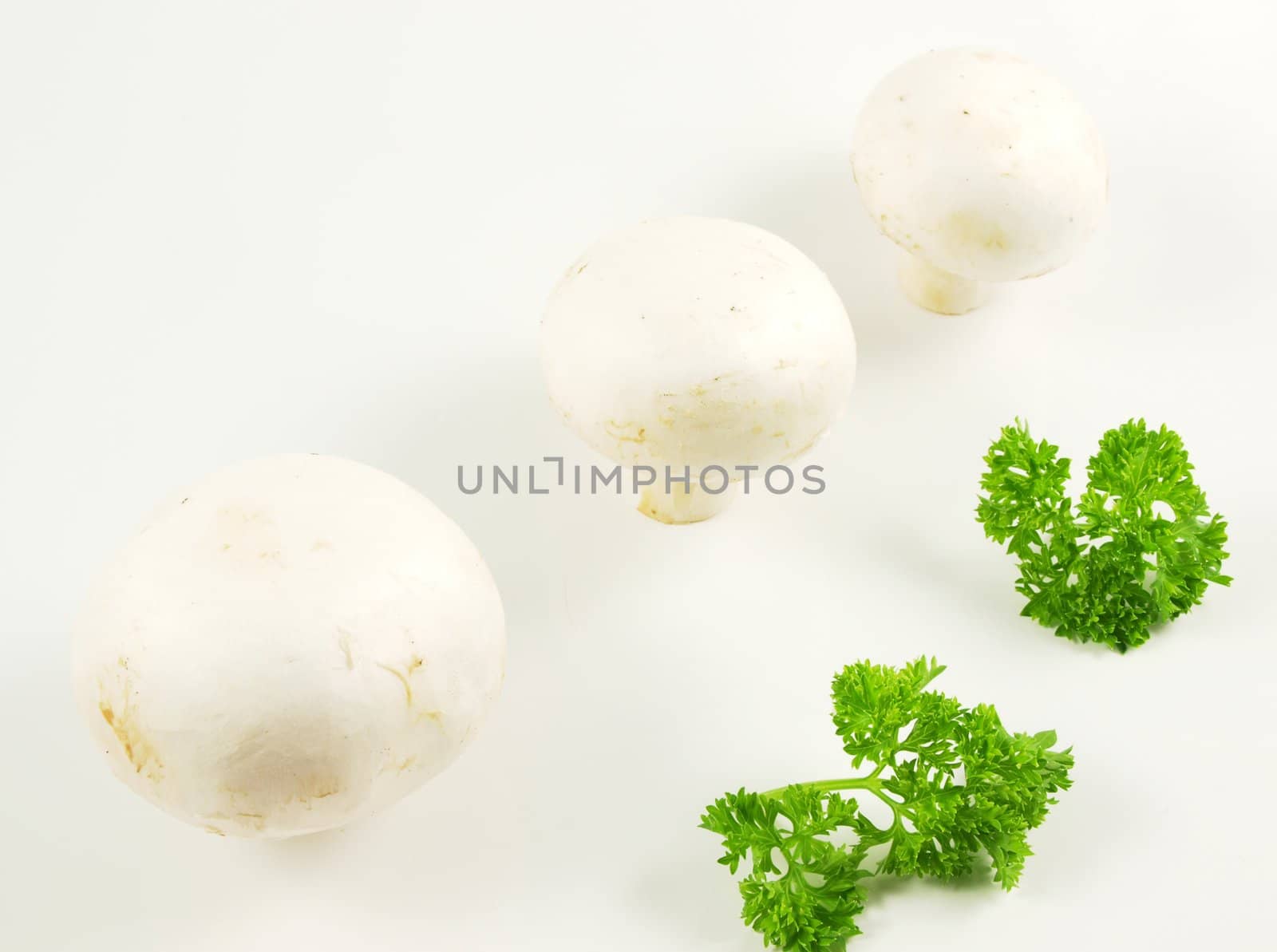 Champignon mushroom with parsley, isolated towards white background